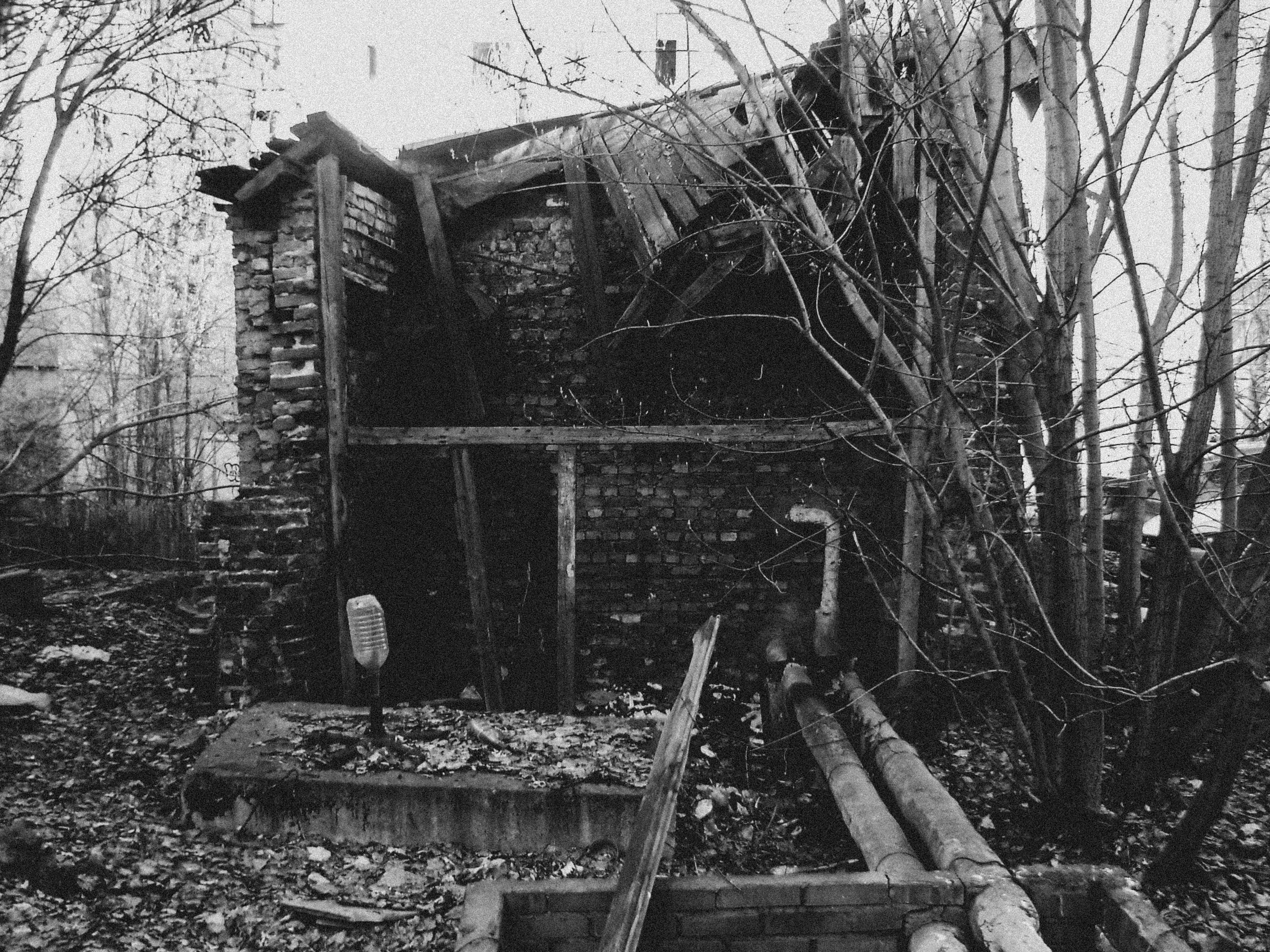 Sony cyber shot dsc p50. Анна Мильч