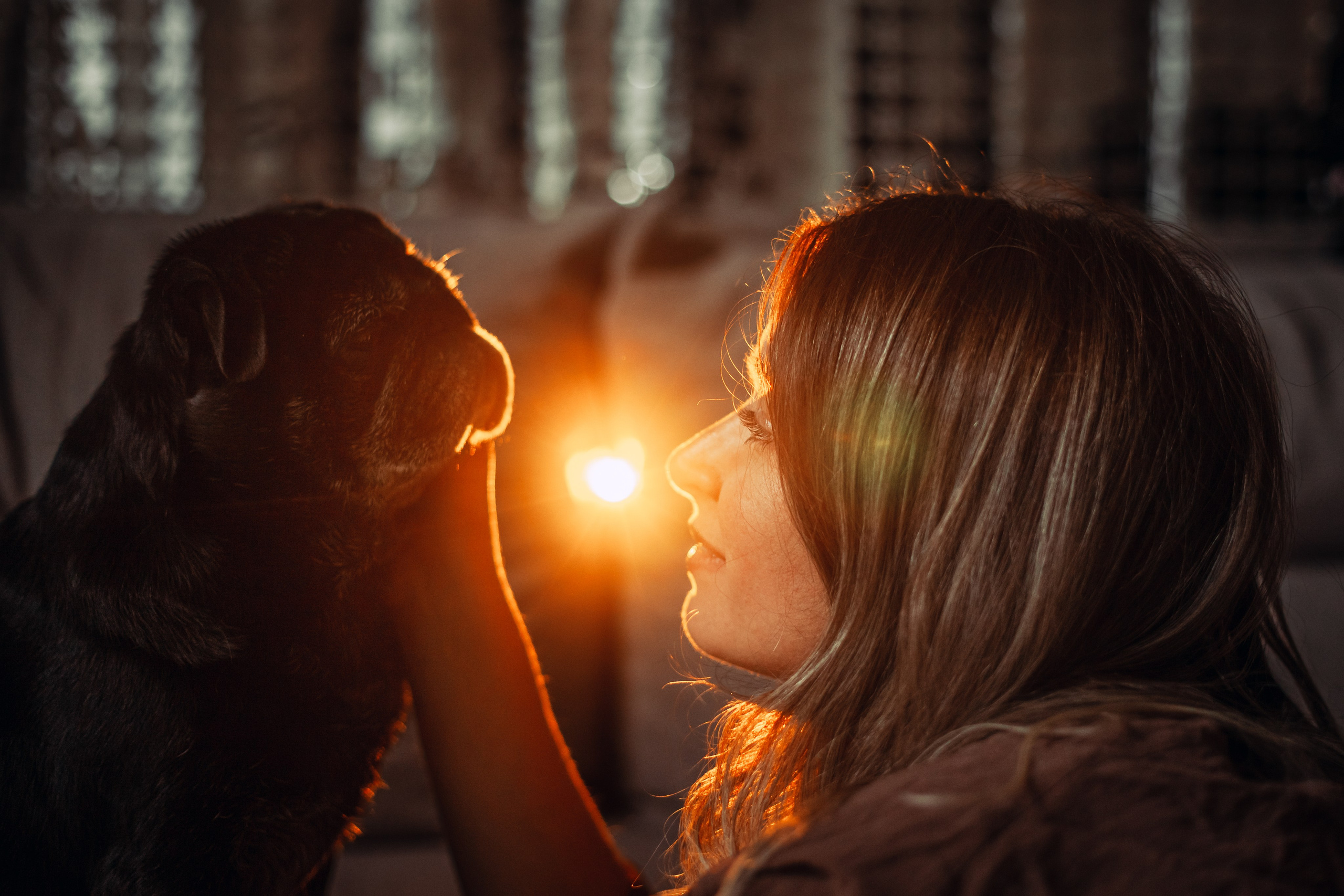 Оля, Харви, Луис. Фотограф-анималист Татьяна Степанова