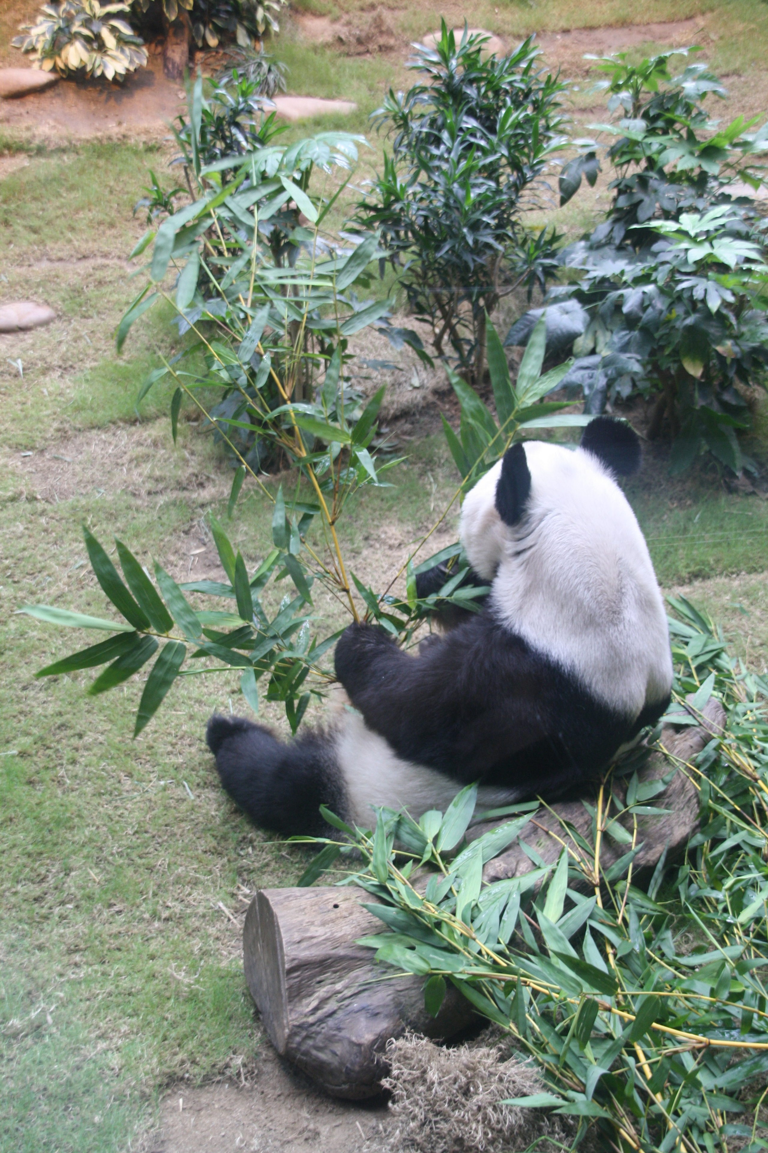 Гонконг. Фотограф Алексей Федорищев