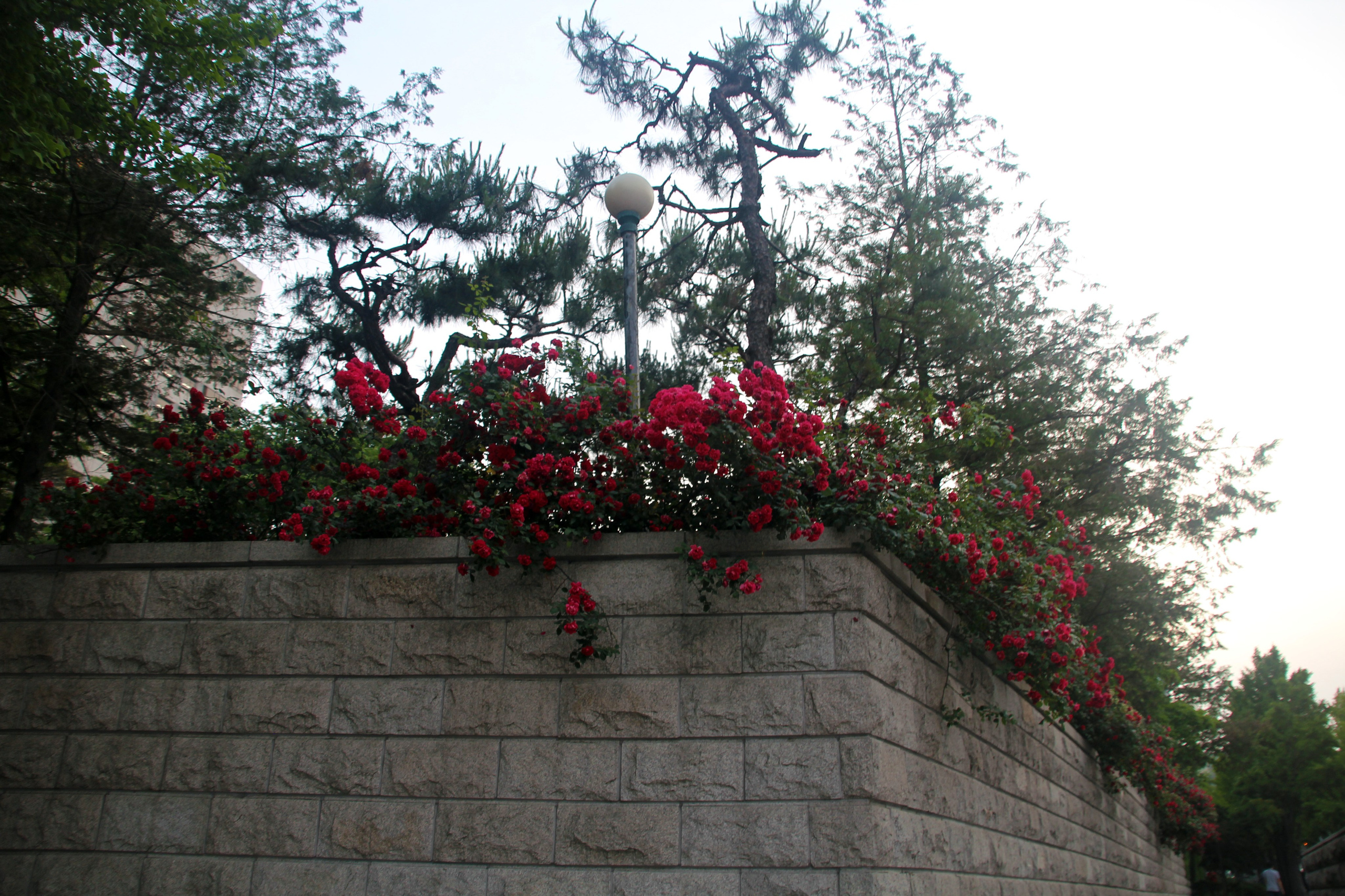 Южная Корея — Сеул. Фотограф Алексей Федорищев