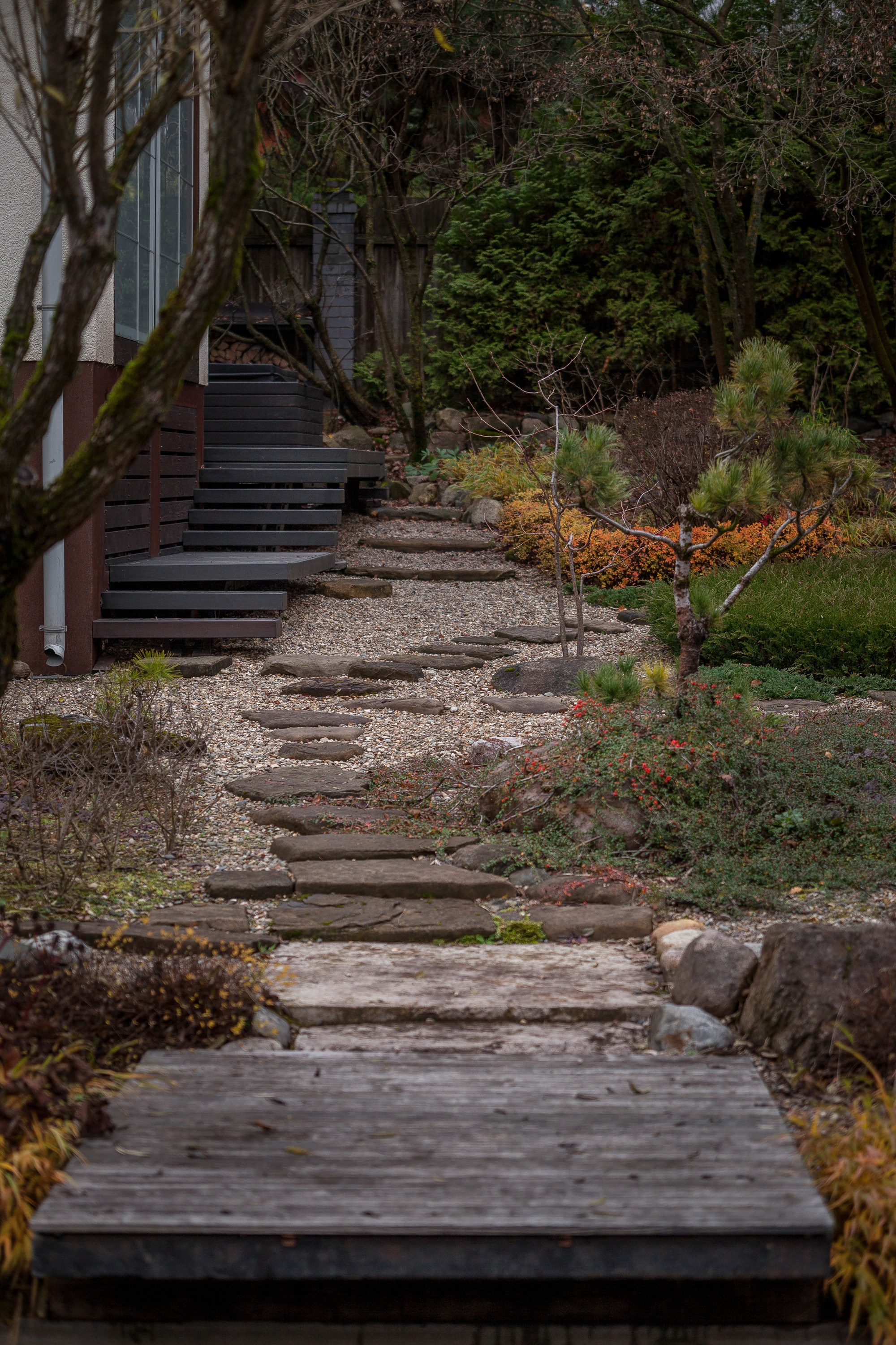 Личный сад Елены Асташкиной (осень). Фотограф Виталий Туманов. Туманов Виталий — фотограф Москва