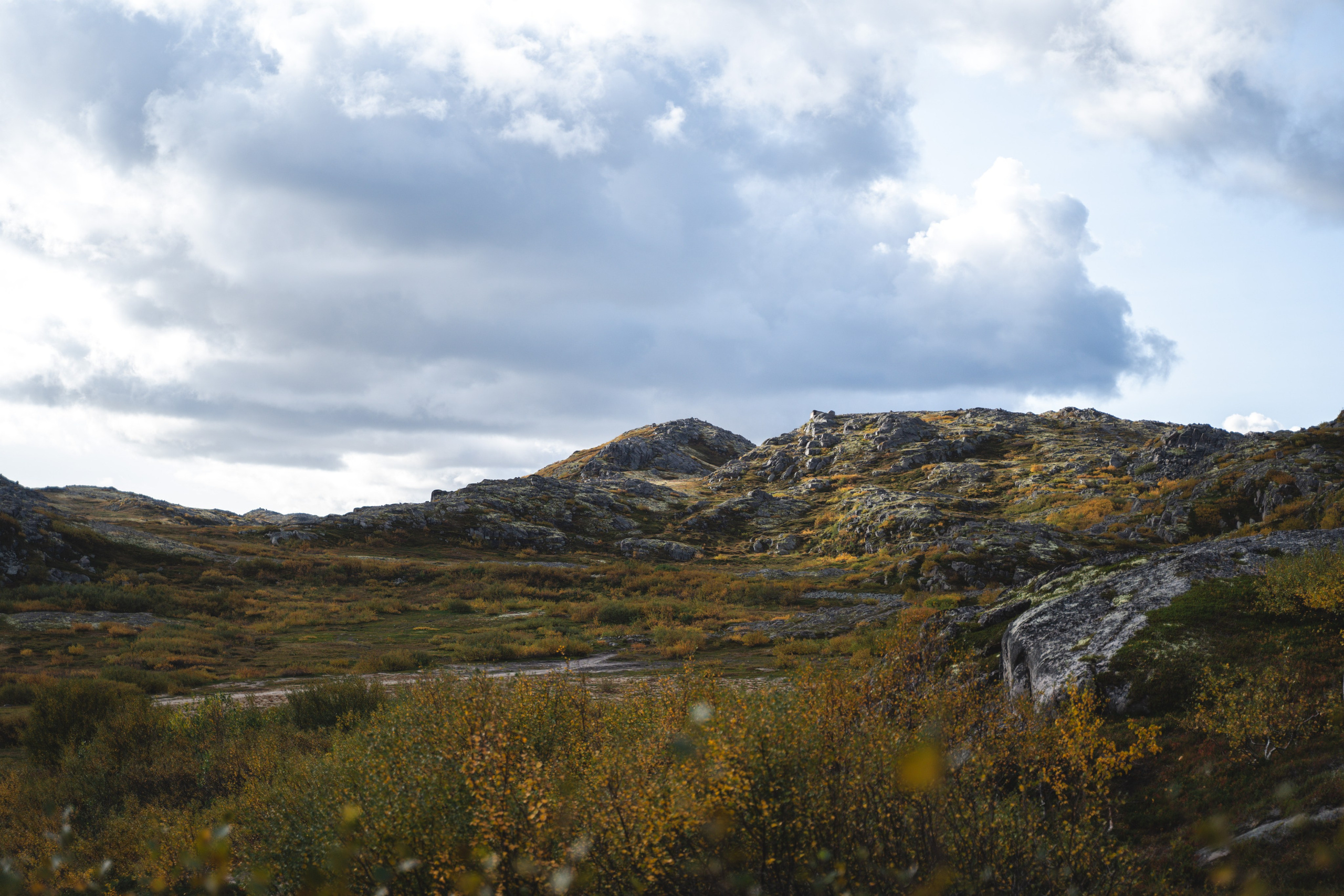 Териберка 2023. Фотограф Ольга Пучкова