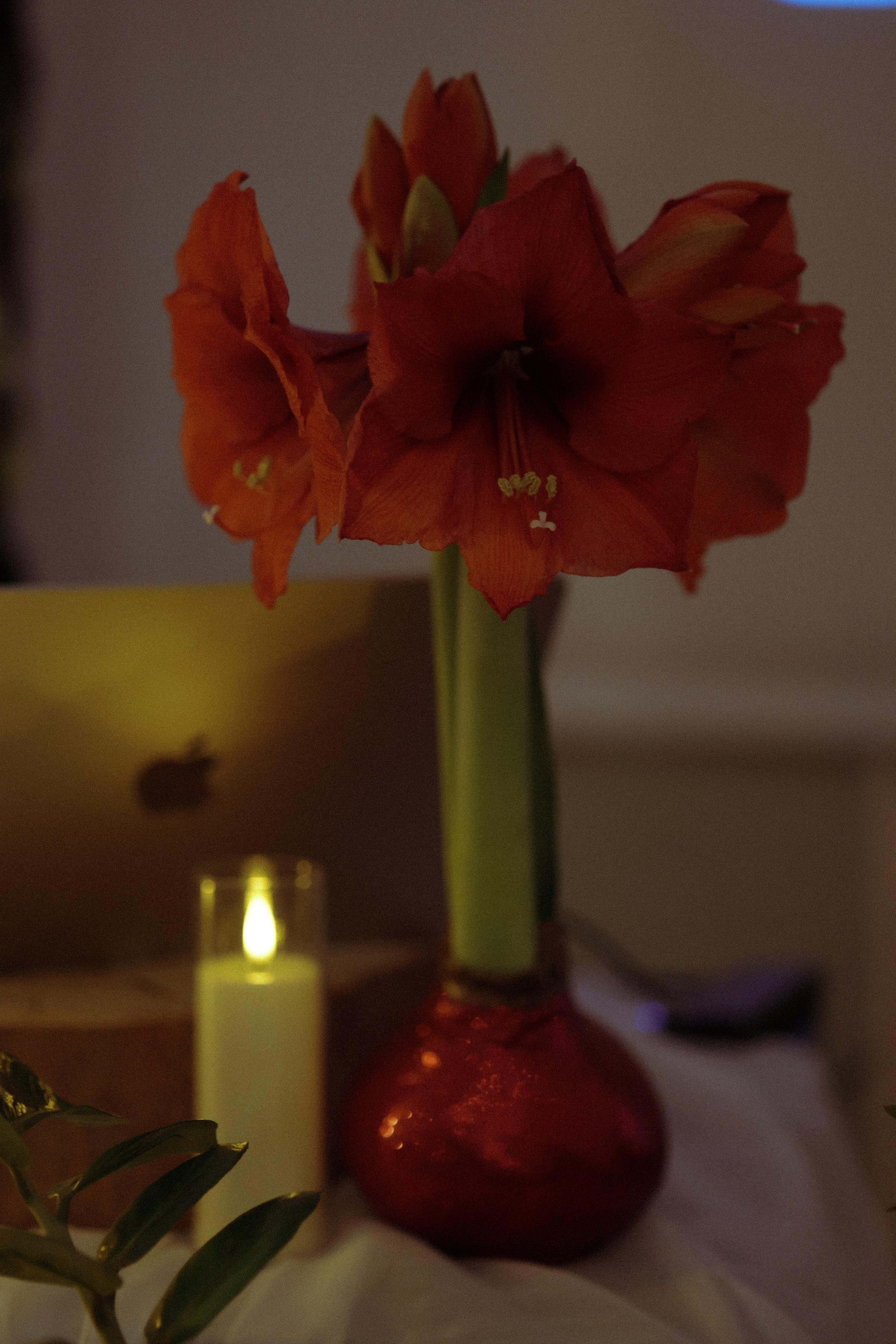 Женское мероприятие «Экстатика». Настя Оленченко, портретный/семейный фотограф на цифру и плёнку Москва