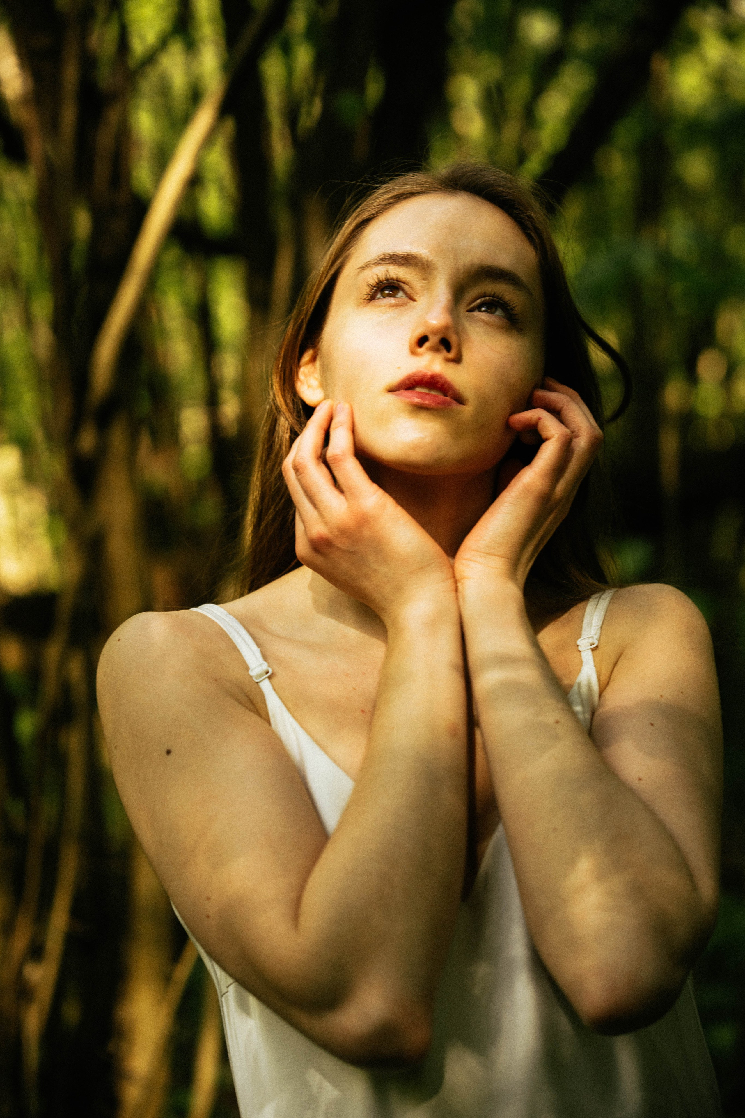 Галерея. Beardy Pix