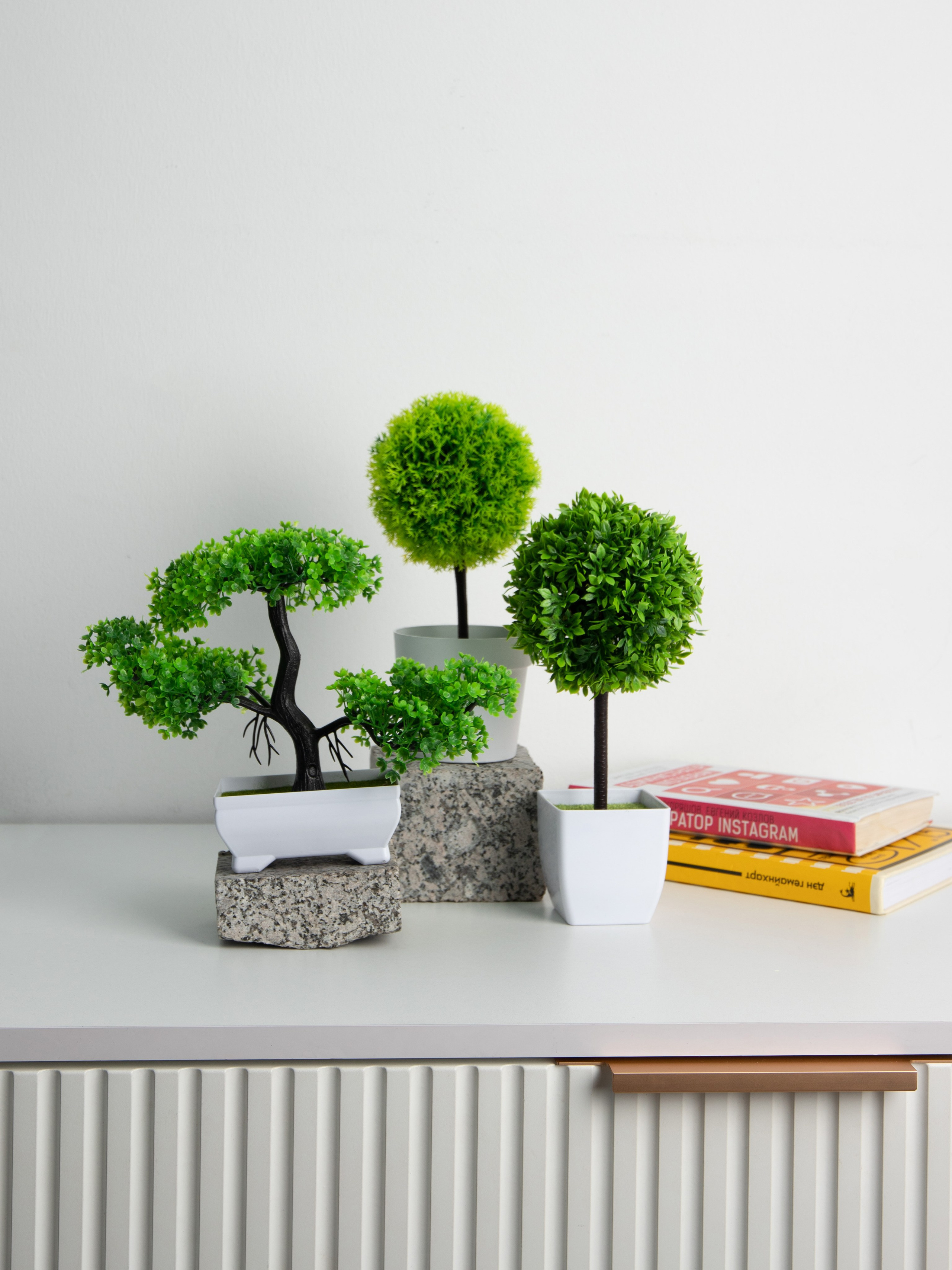 Декоративные деревья. Коммерческий фотограф в Санкт-Петербурге (СПб) Екатерина Панчёха, Панчёшка