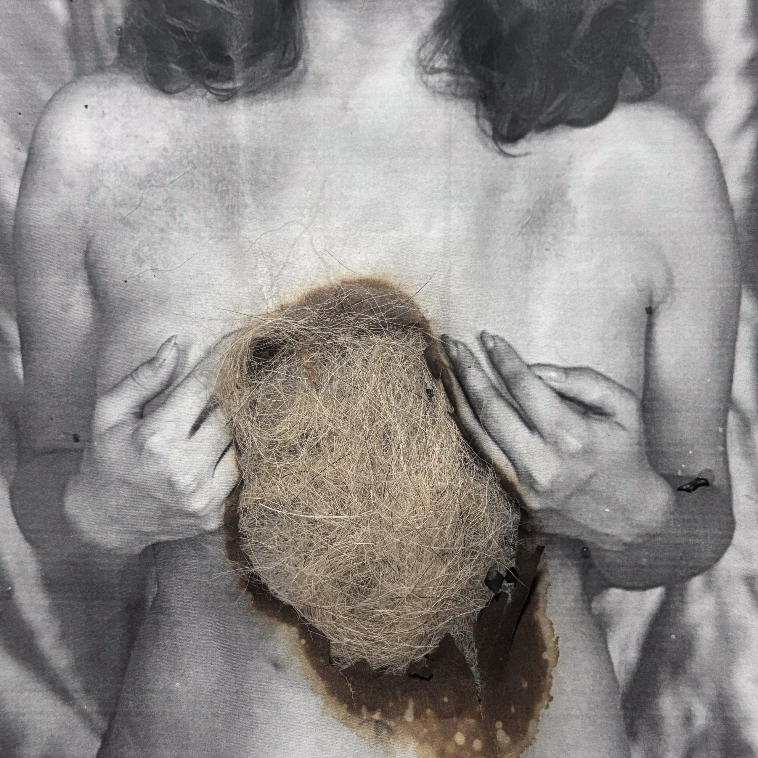 Укрытие. Катерина Эделева