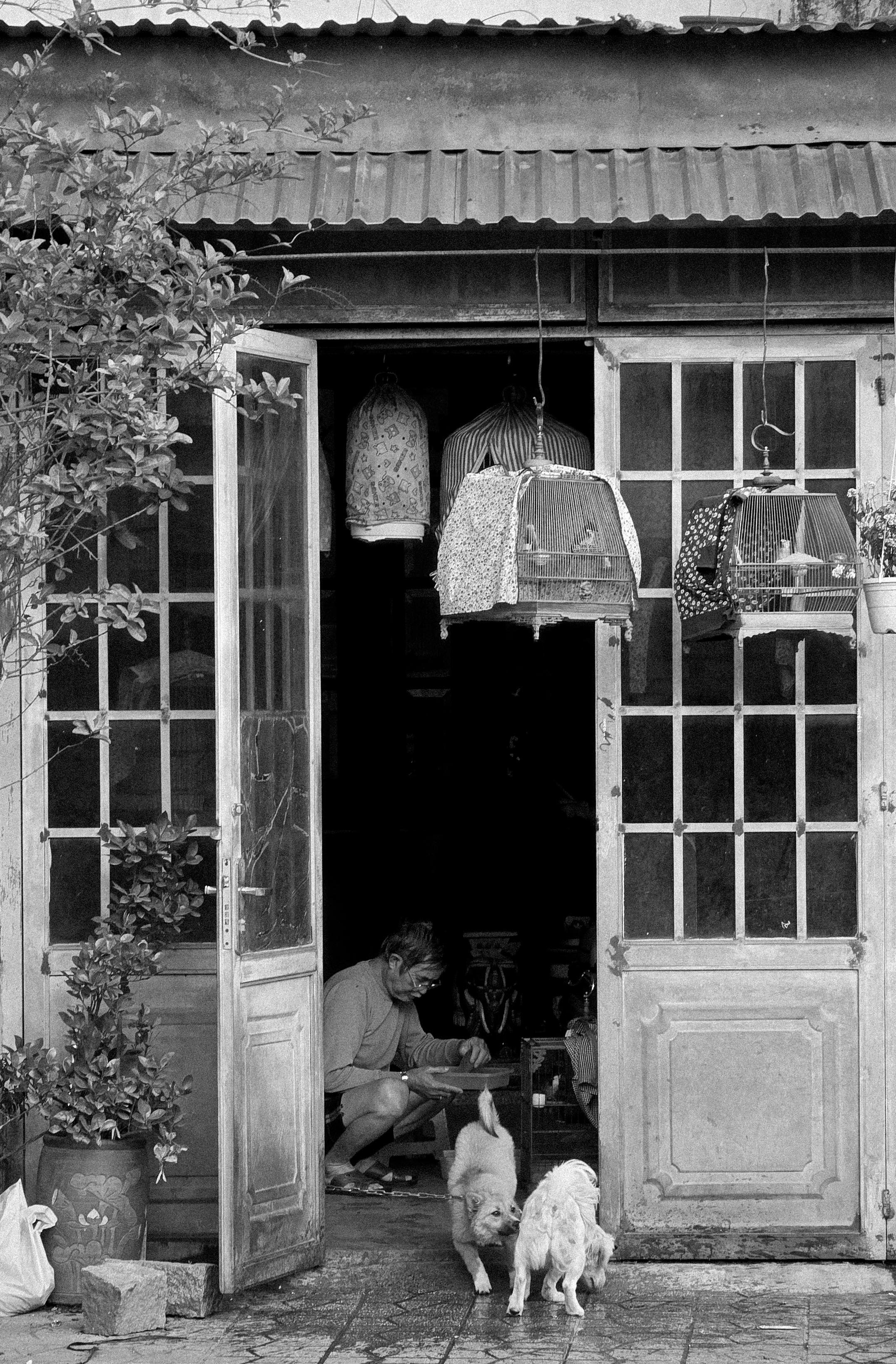 Art portfolio. AleSeeva