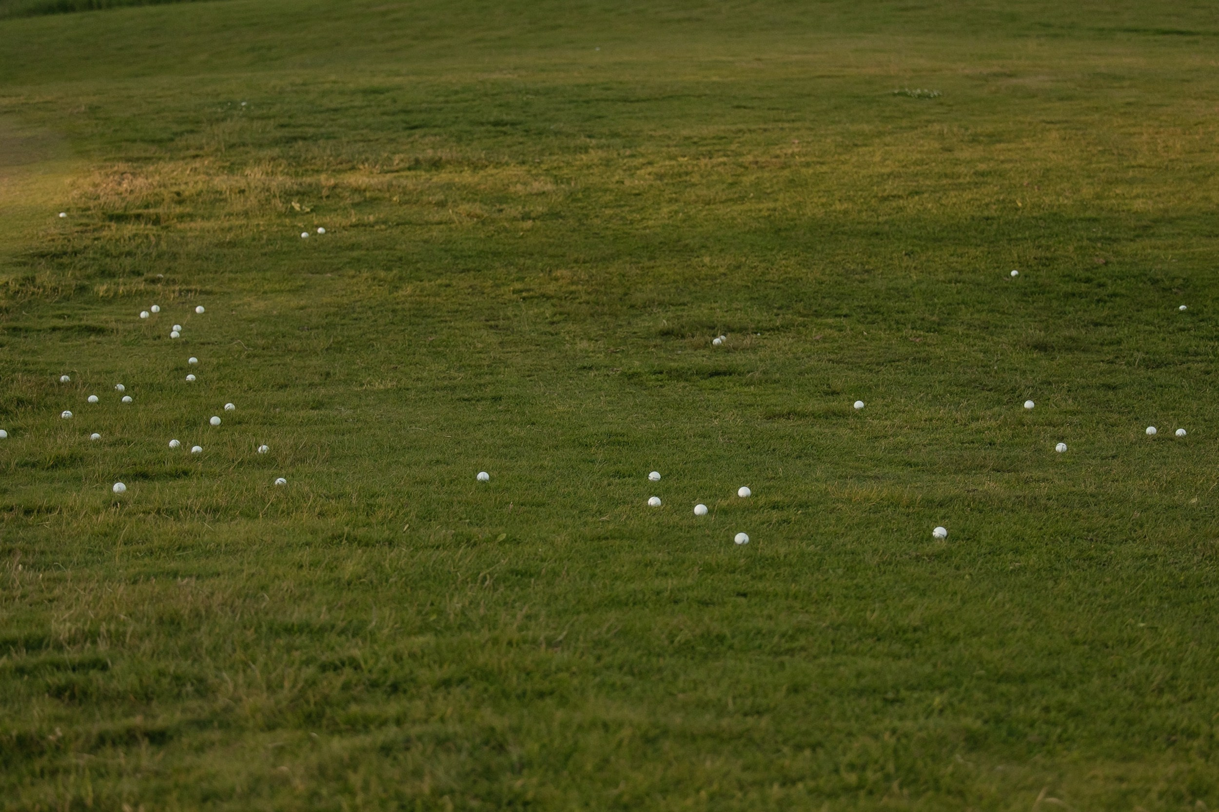 Perfomance of love. Свадебный фотограф Москва