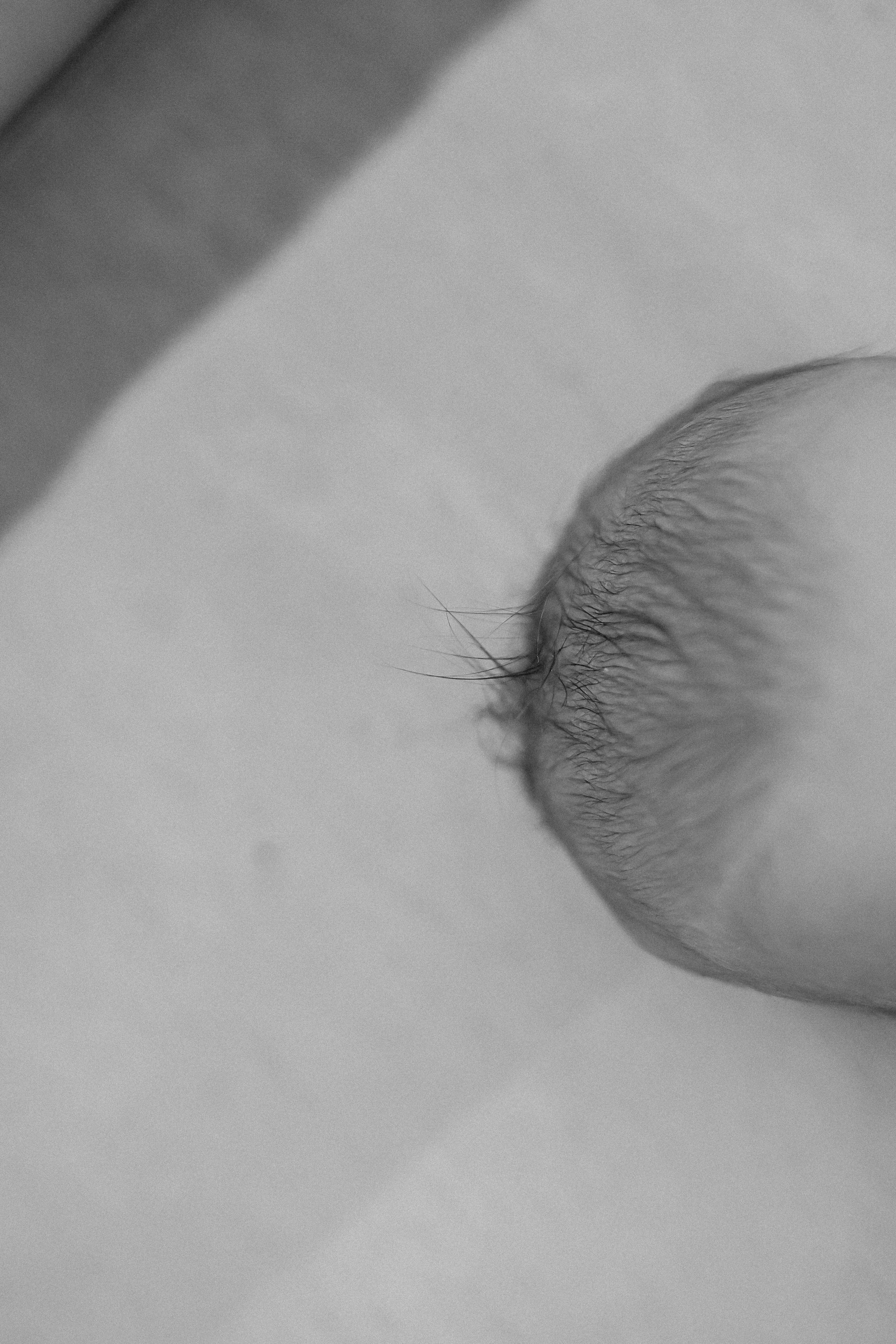 Команда. Семейный фотограф Тюмень, фотограф на роды Салмина Мария