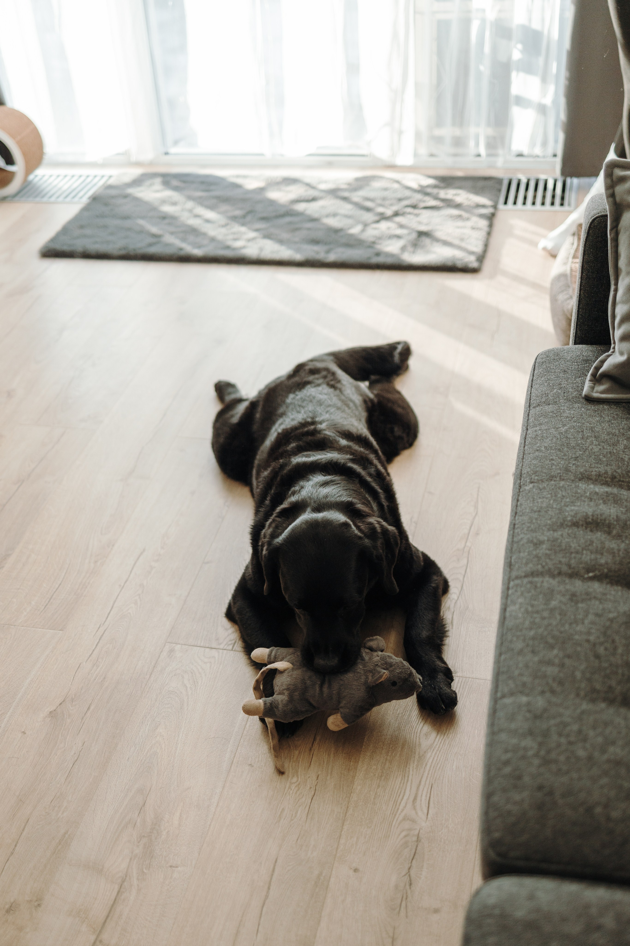 Таня и ее семья. Фотограф — Анималист | Санкт-Петербург