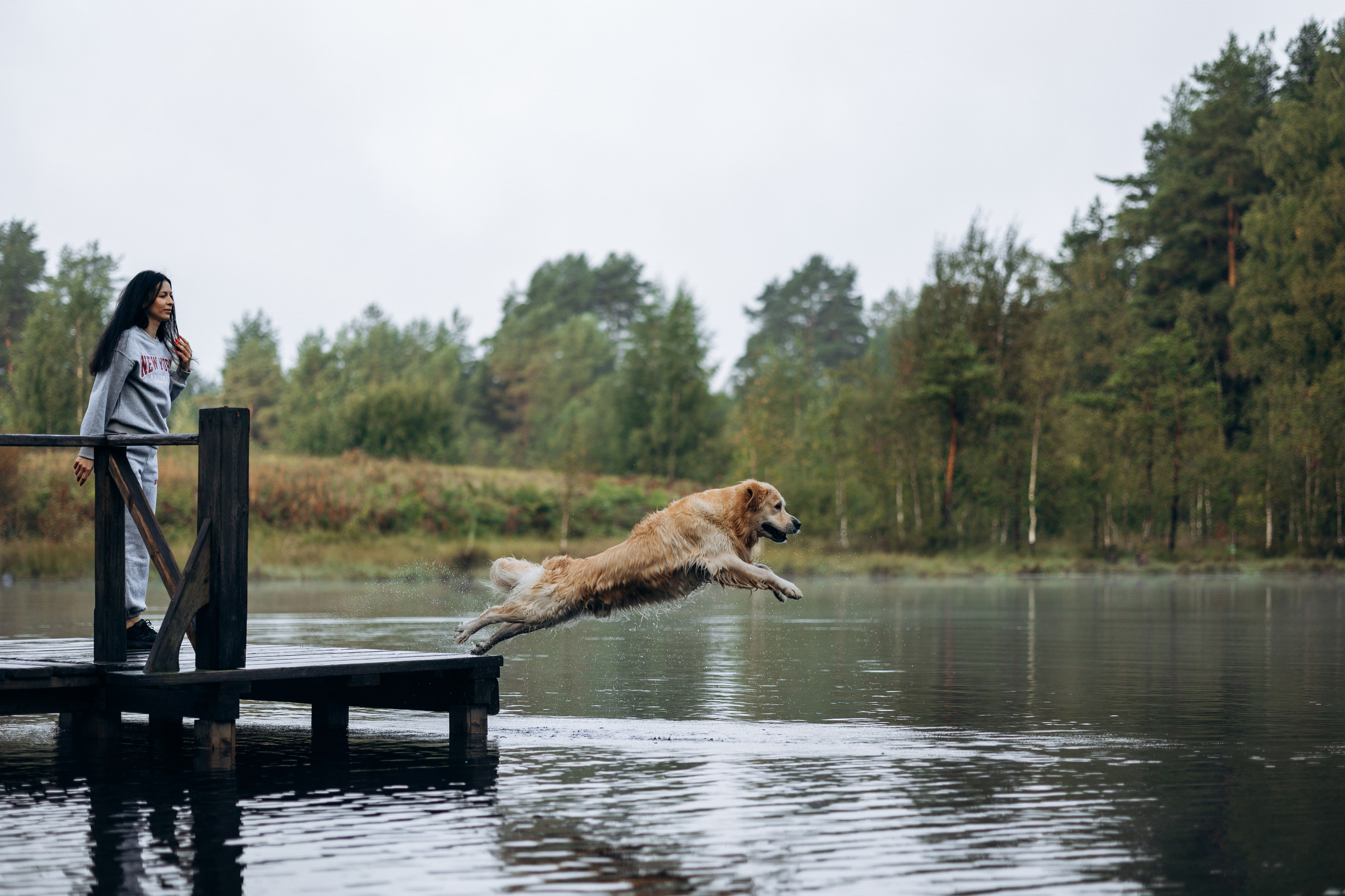 Лёва и его семья. Фотограф — Анималист | Санкт-Петербург