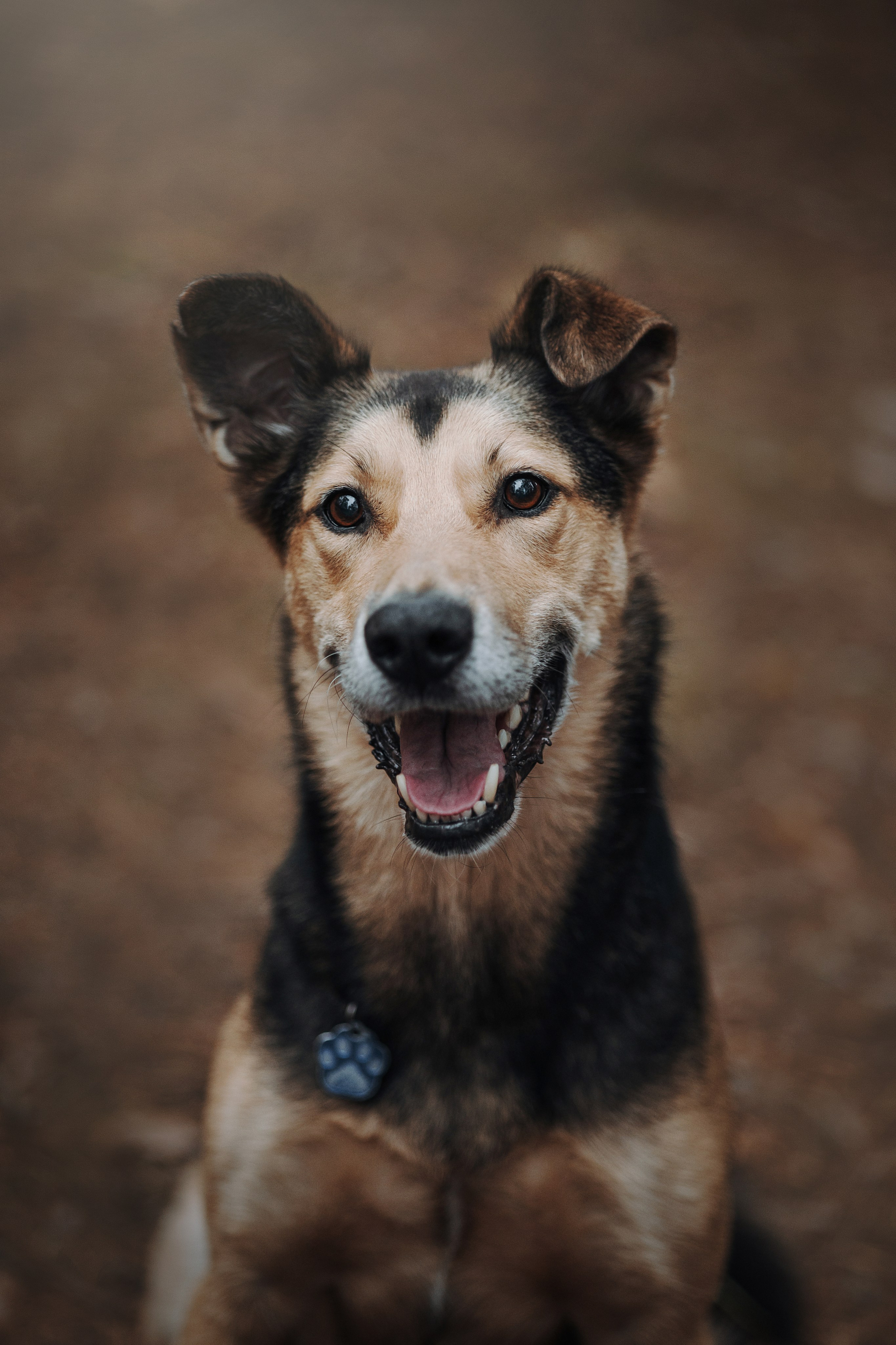 Наталья и Того. Фотограф — Анималист | Санкт-Петербург