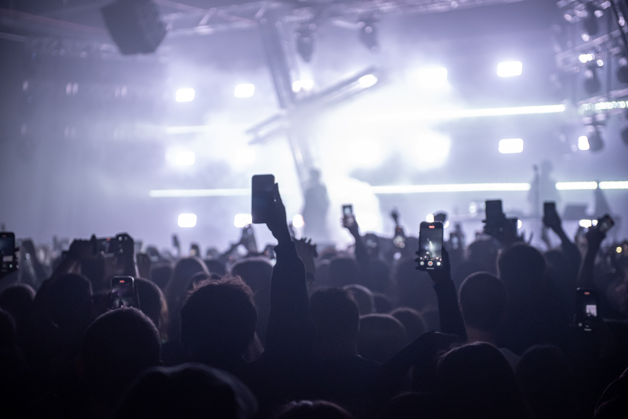 Pharaon. Royal Park. Фотограф в Калининграде Роман Большаков