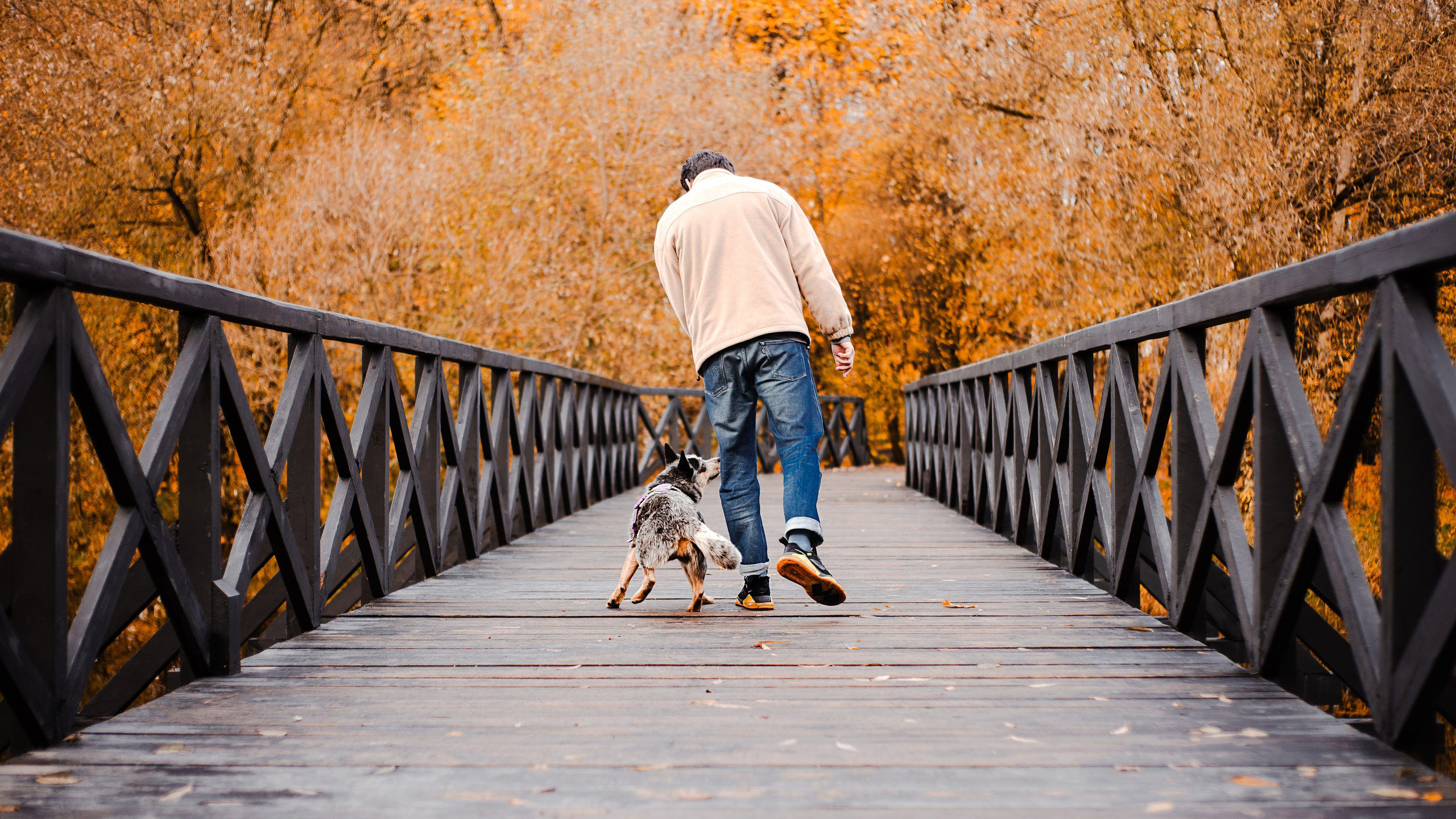 Юля, Антон и Лу. Фотограф-анималист Мария Баркевич | Москва