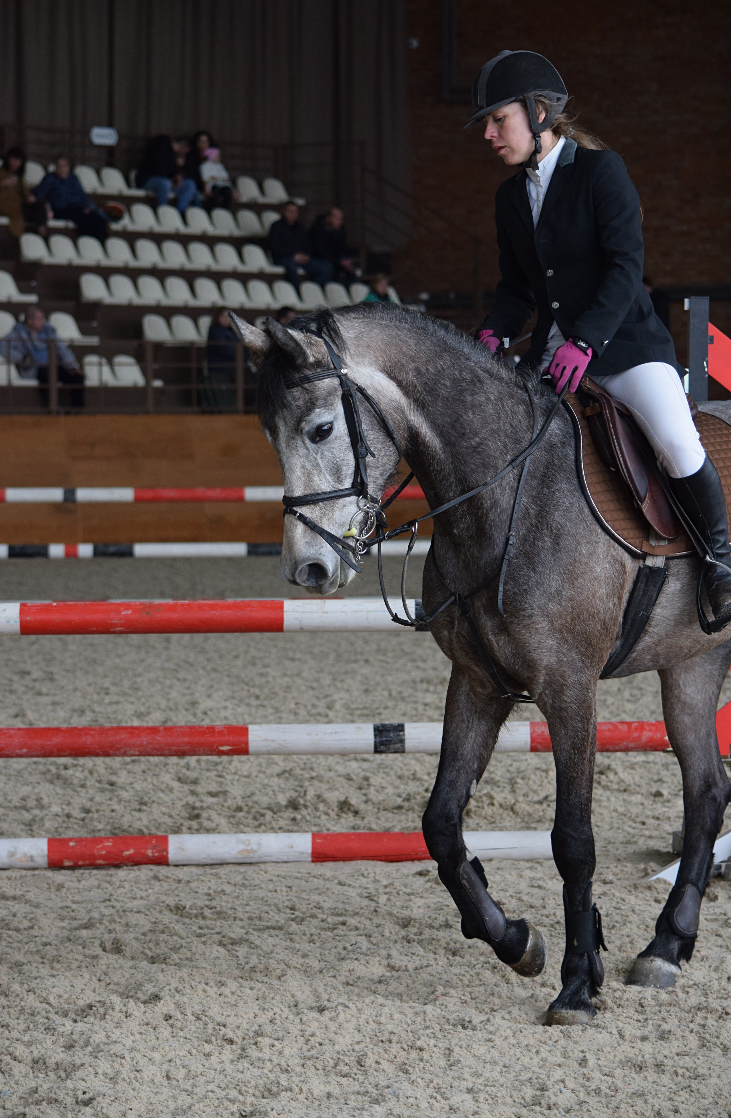 Конкур Гермес. Конный фотограф в Саратове Юлия Иванова