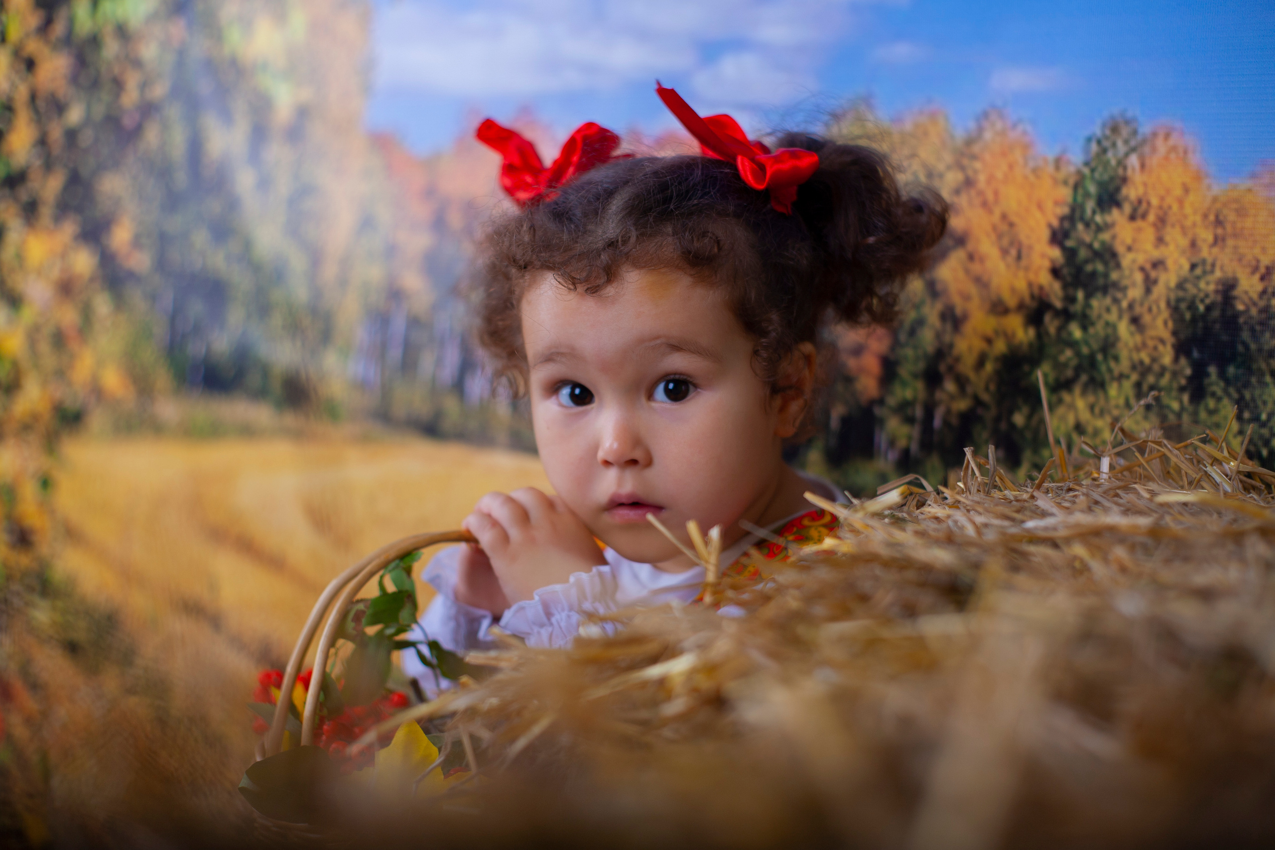 Осенняя фотосессия 2022. Альбомы с самого детства. +79237847111