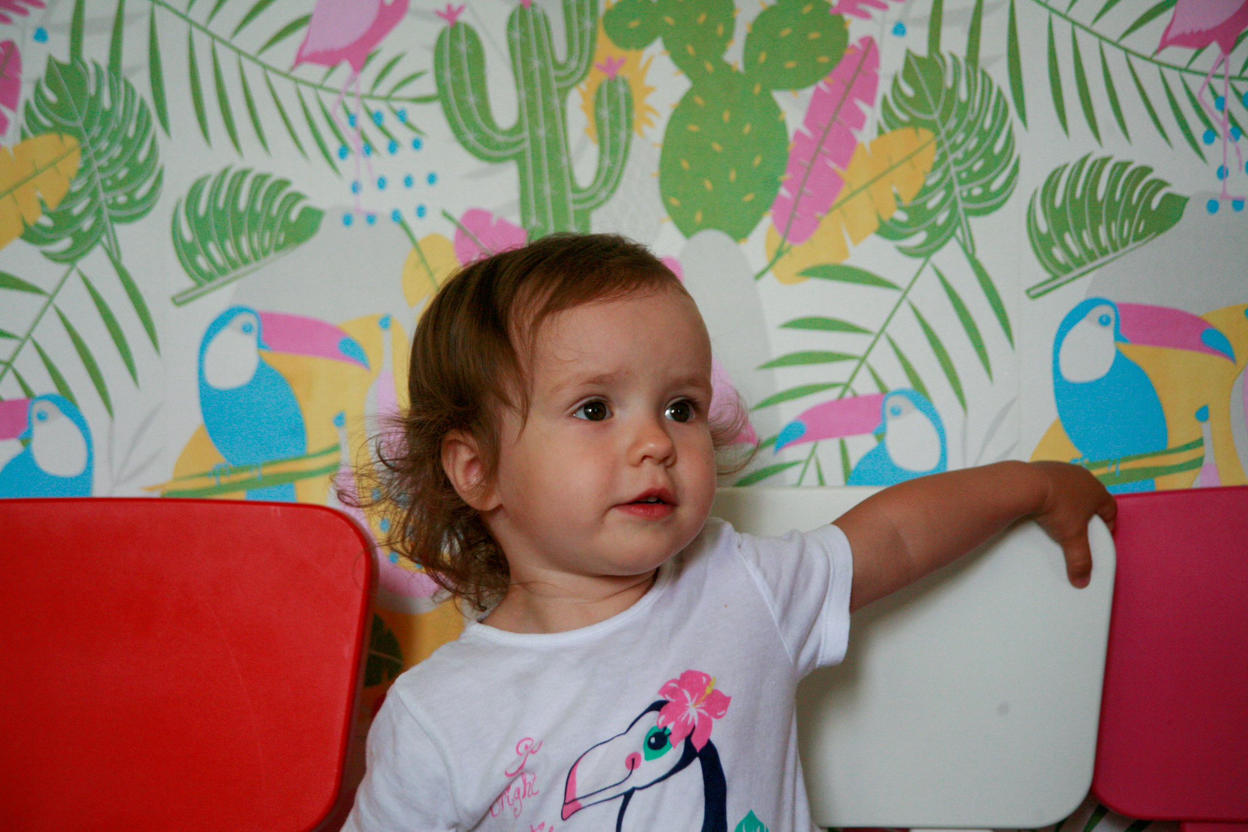 Детки. Альбомы с самого детства. +79237847111