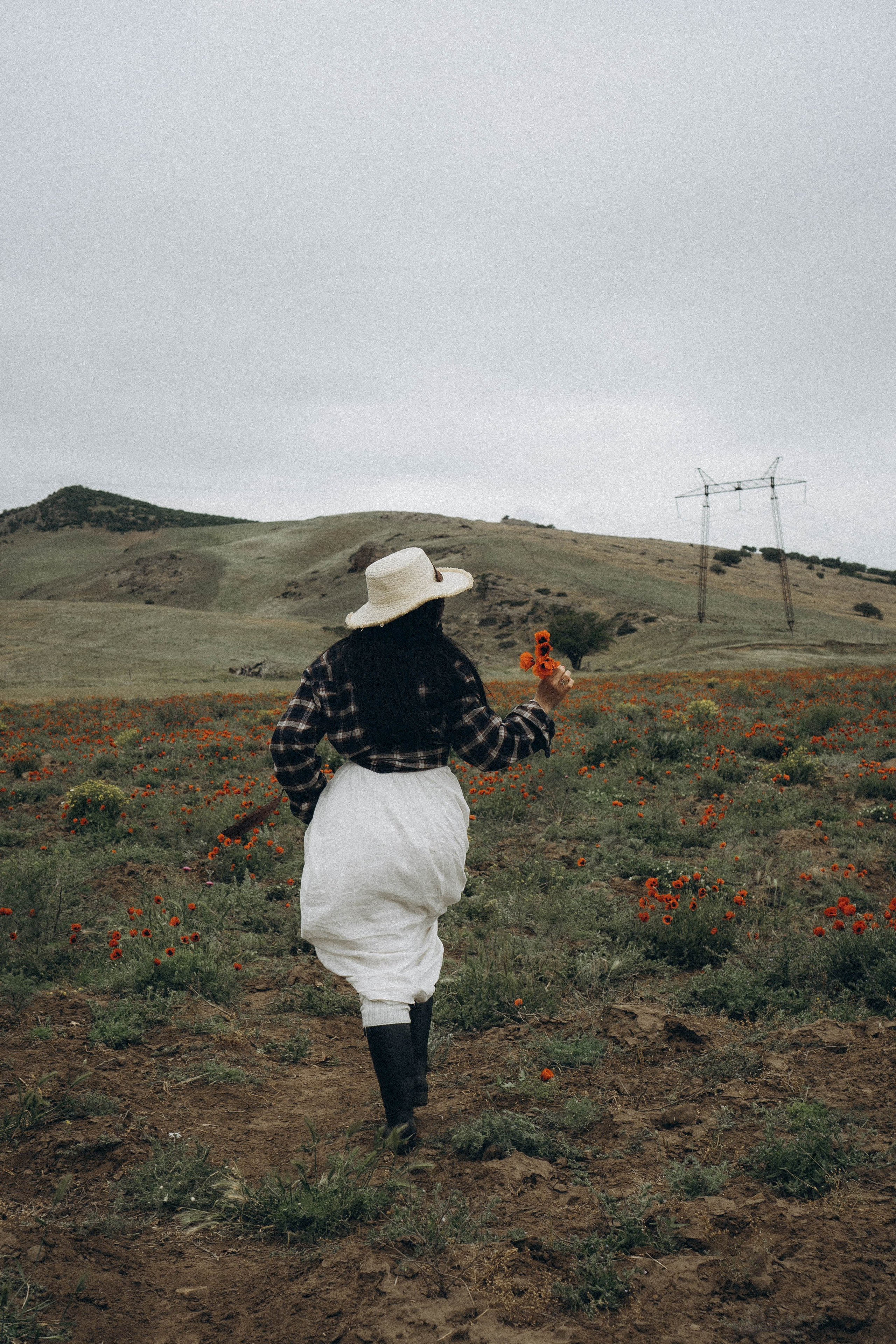 Маковое поле. Профессиональный фотограф, Санкт-Петербург — Виктория Богомолова