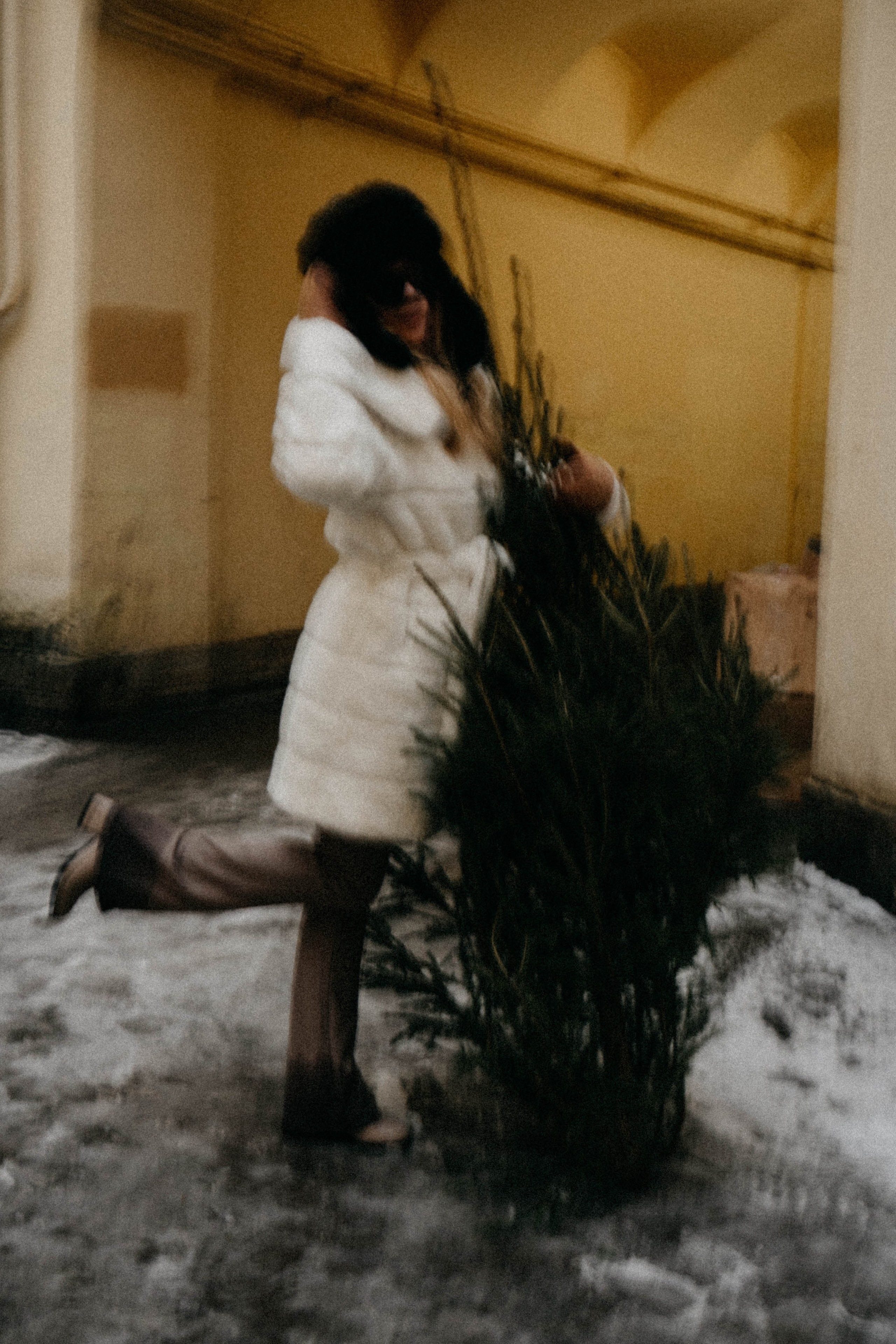 Новогодняя. Профессиональный фотограф, Санкт-Петербург — Виктория Богомолова