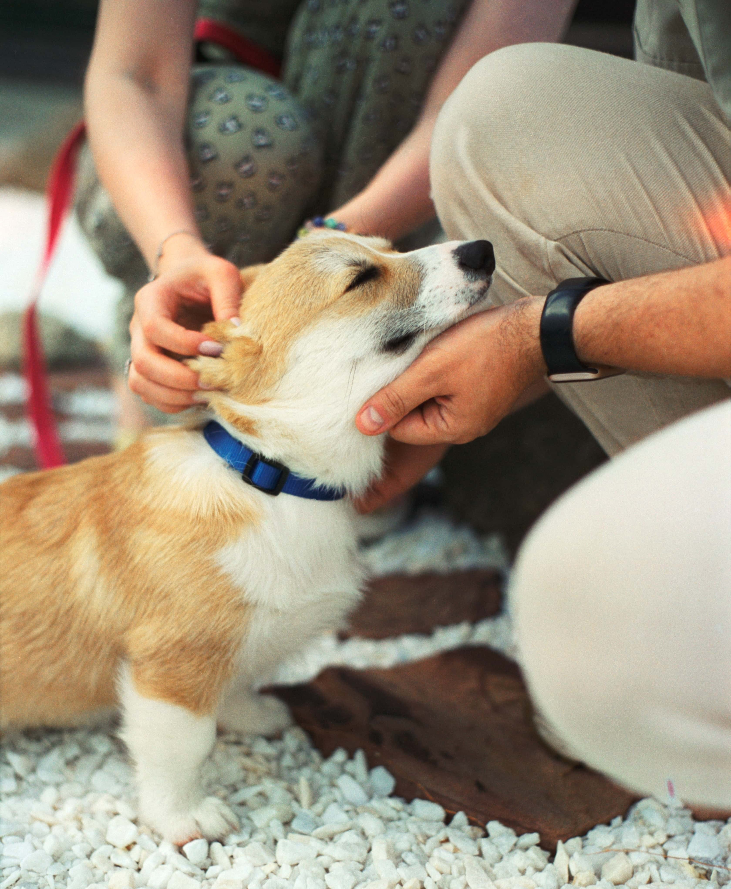 E&V&G. Stylist and film photographer Anastasia Shlokova