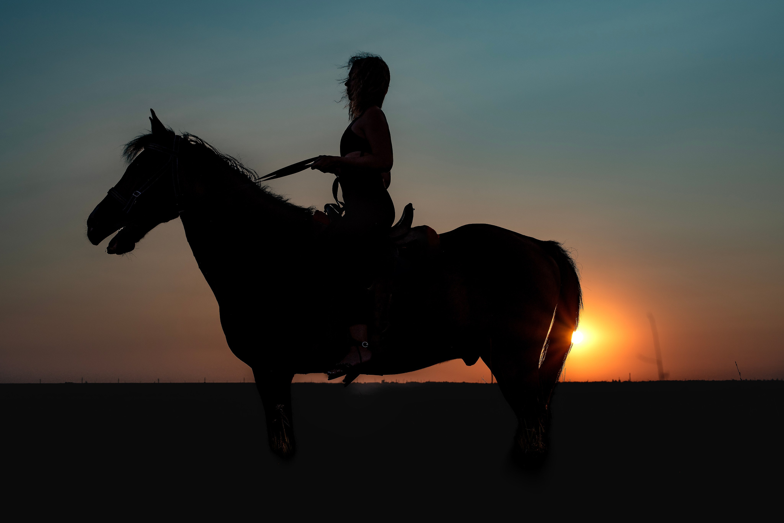 Леди и лошадь. Главная