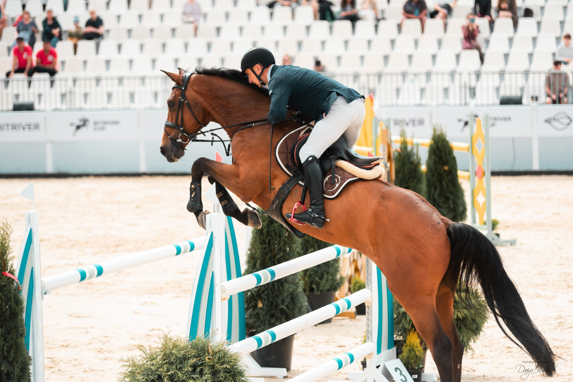 BITRIVER CUP 2023. Конный фотограф Куракина Дарья • Фотосессии с лошадьми