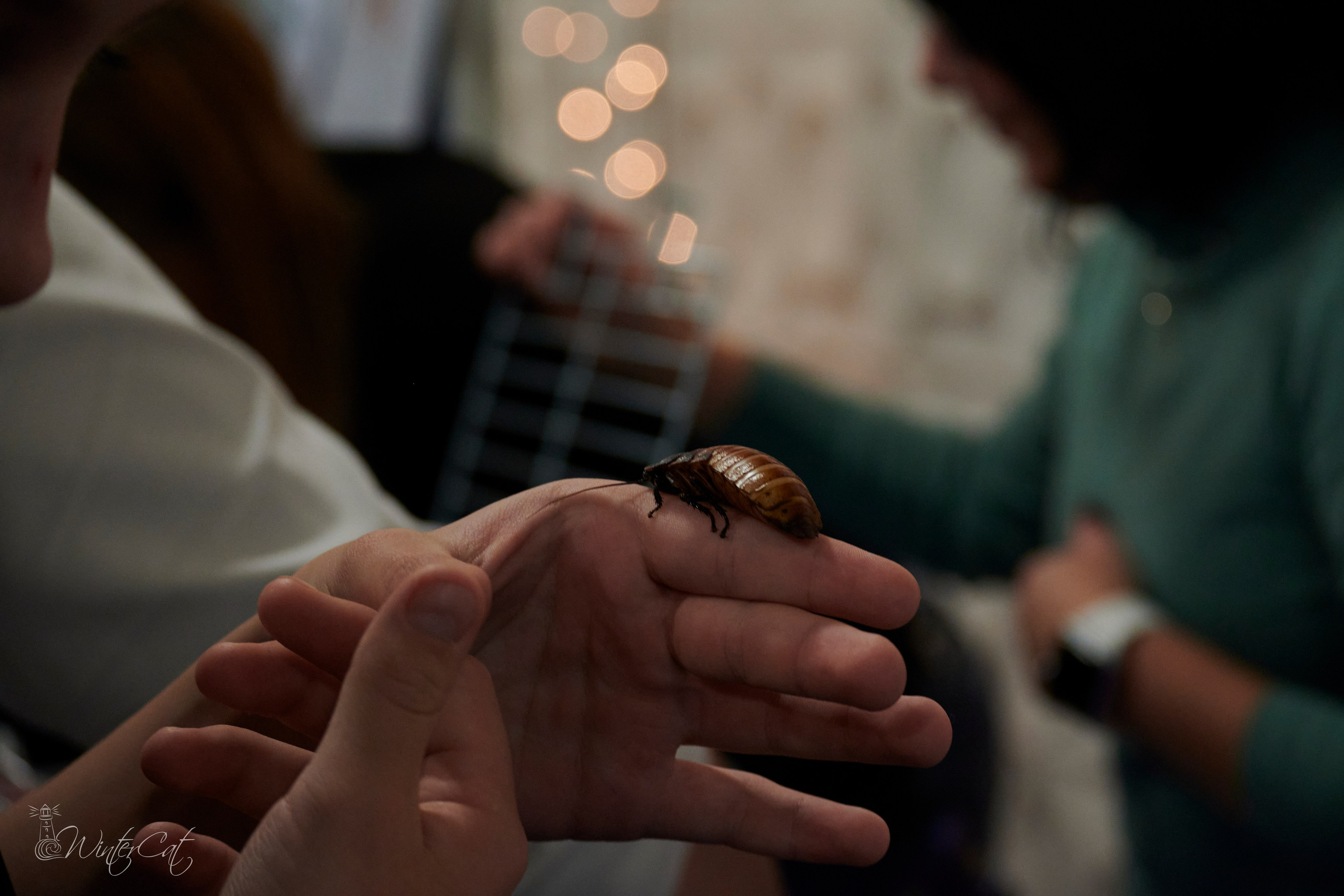 Калейдоскоп МЦК 28.09.24. Портретный и репортажный фотограф в Магадане Андрей Нефедов WinterCatPhoto