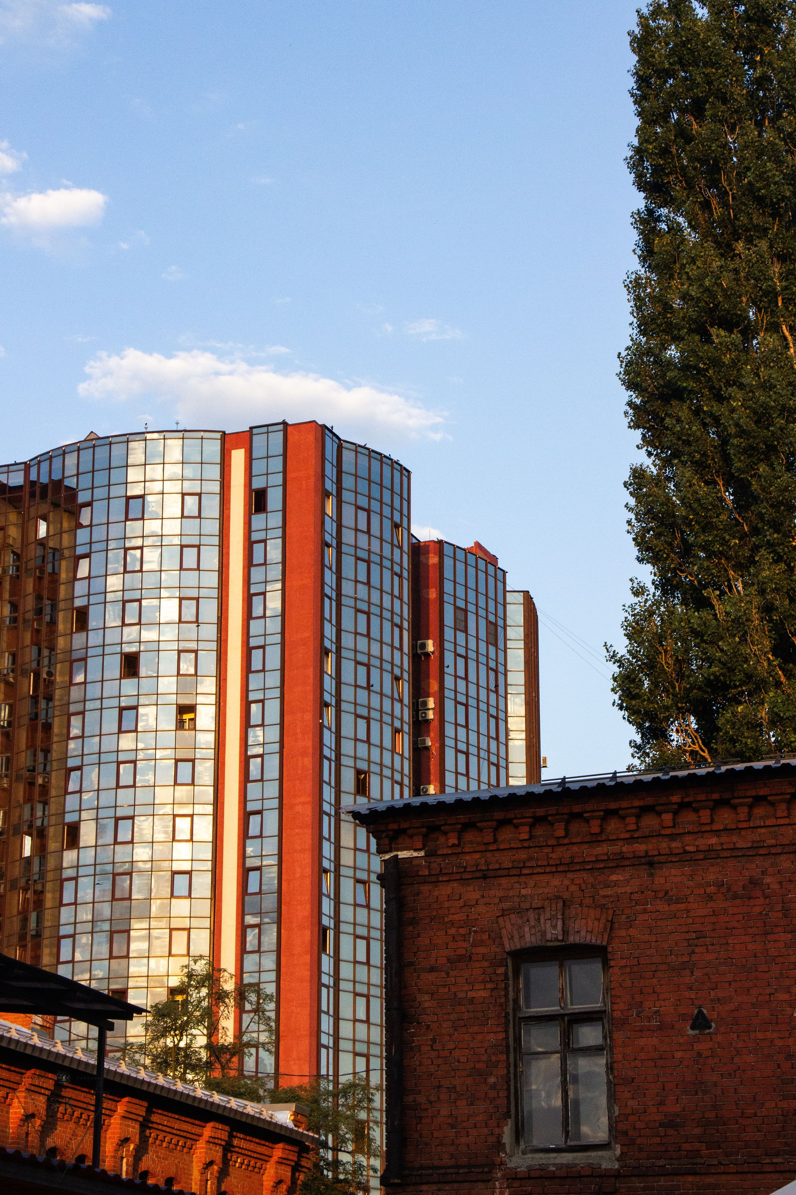 Битва Общепитов 2025 + «Меньше трёпа». Репортажный и портретный фотограф из Воронежа — Светлана Кузнецова