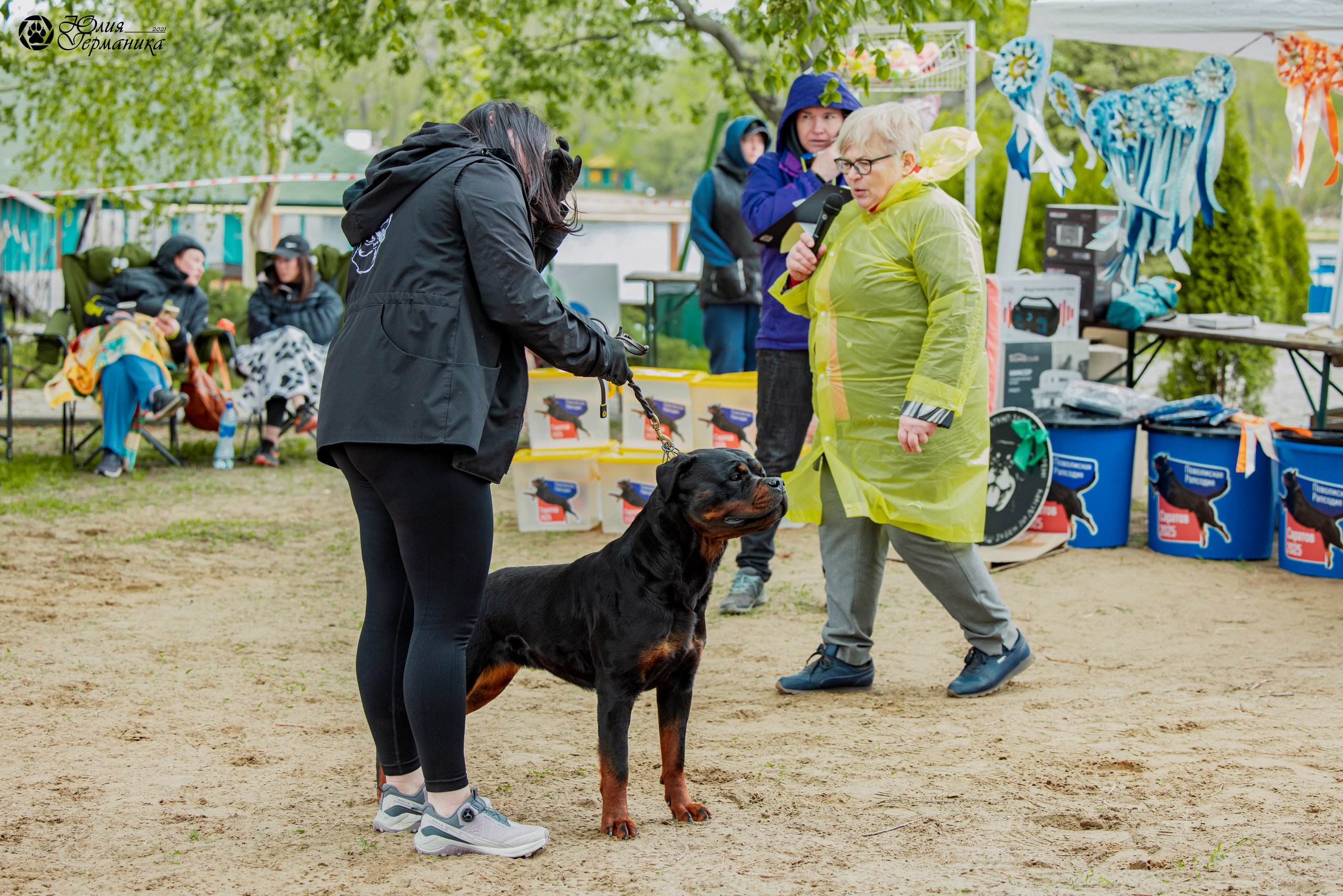 Саратов моно ротвейлеров 26-27.04.2025. Фотограф-анималист Юлия Германика