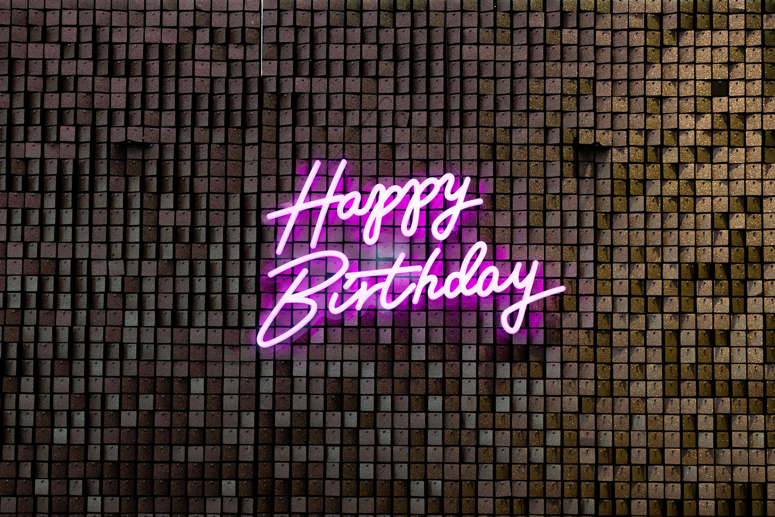 Екатерина, Кулинарное шоу. Свадебный фотограф | Москва