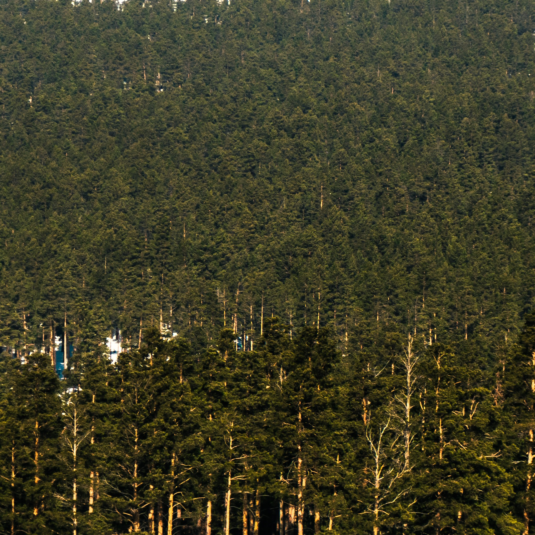 Улан-Удэ, Март 2024