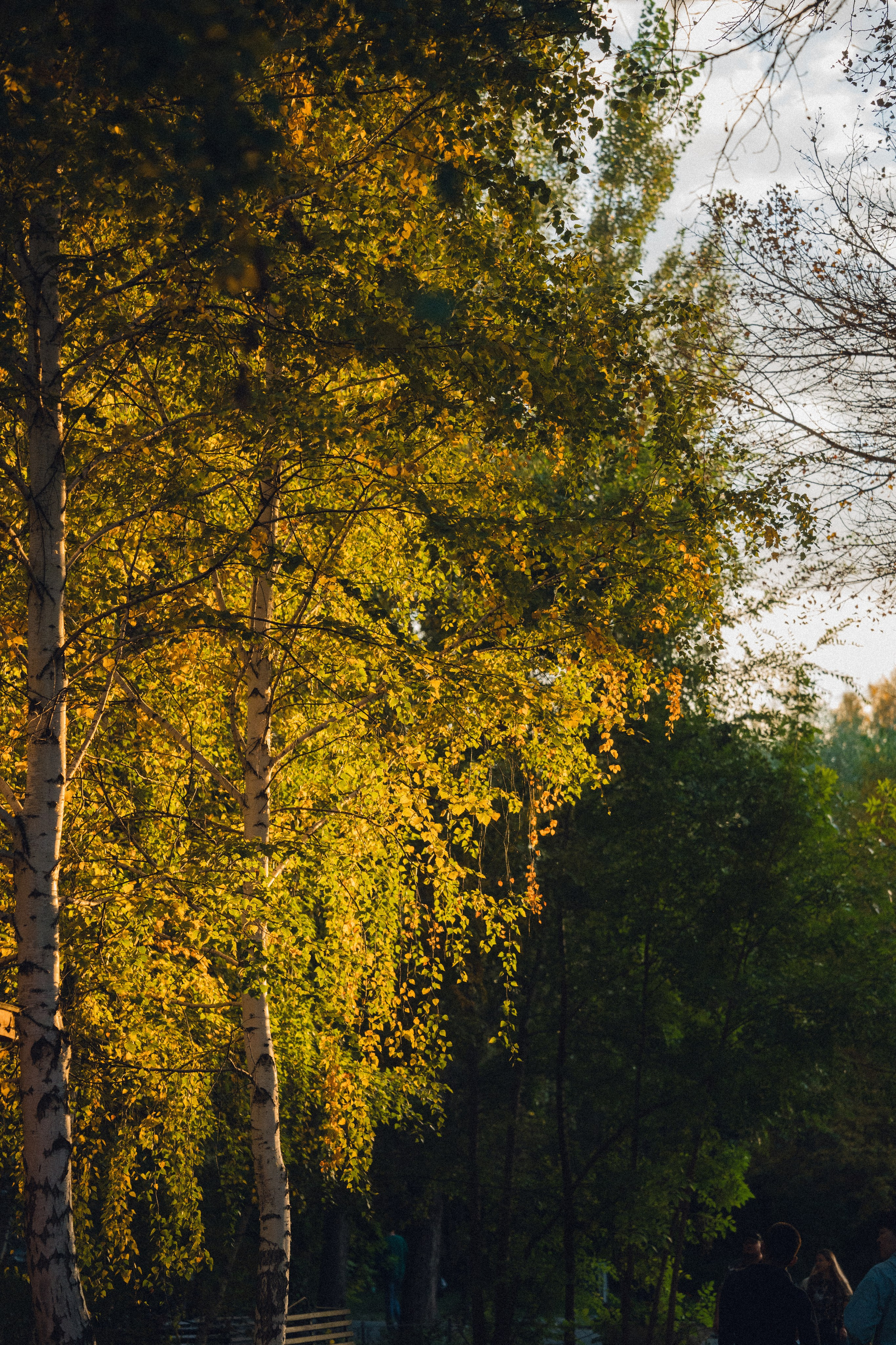 Усть-Каменогорск, Сентябрь 2024