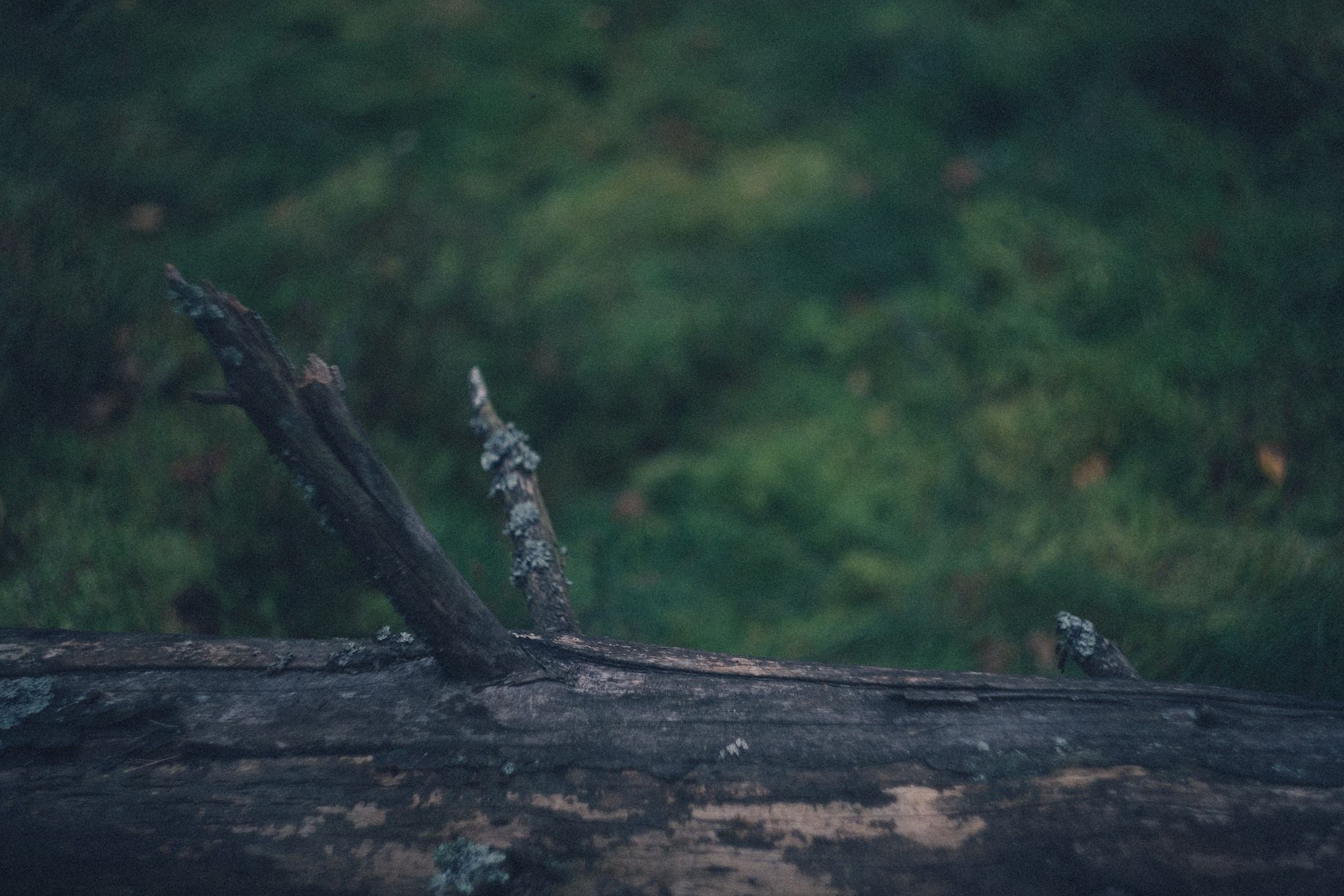 Наощупь. Алиса Аницкая