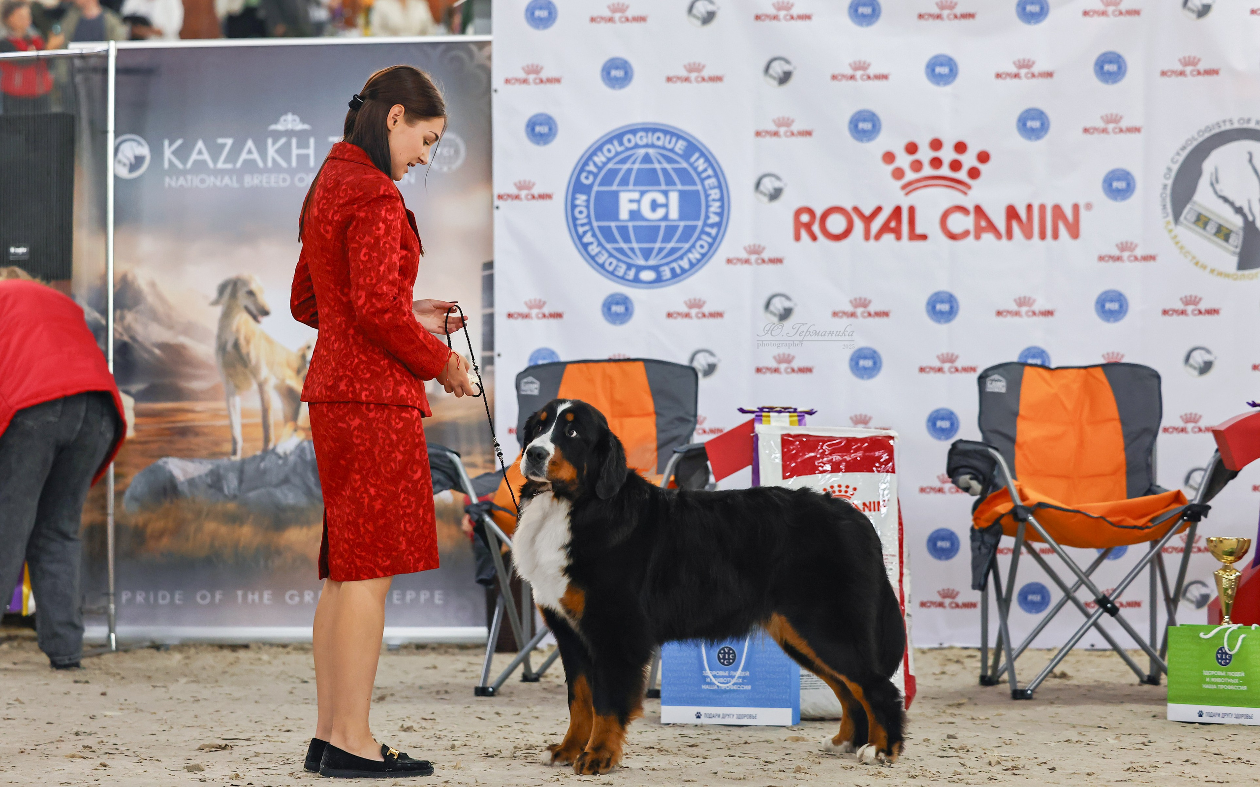 Астана 2хCACIB 26-28.09.2025. Фотограф-анималист Юлия Германика