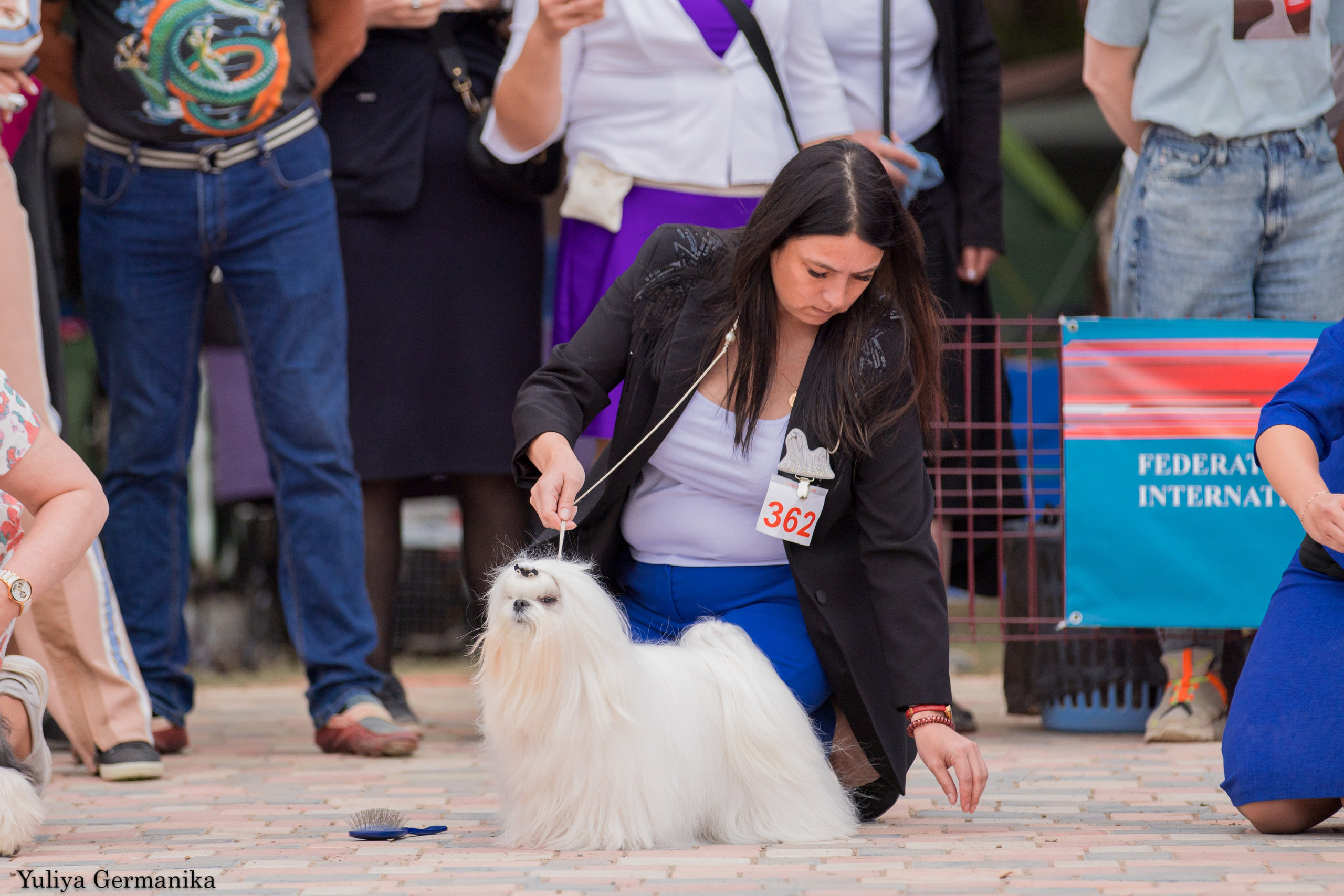 Ташкент 6-8.10.2023 + Алматы 14-15.10.2023. Фотограф-анималист Юлия Германика