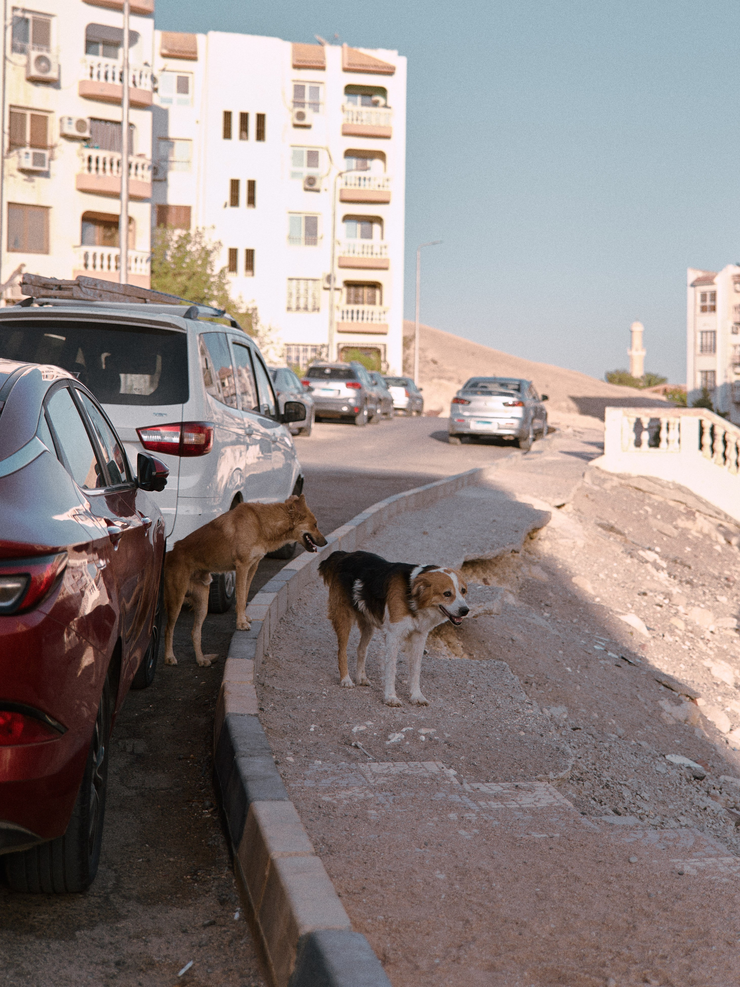 Другое 2. Jorgis Talè — photographer, kind person, teacher of arts and other mag