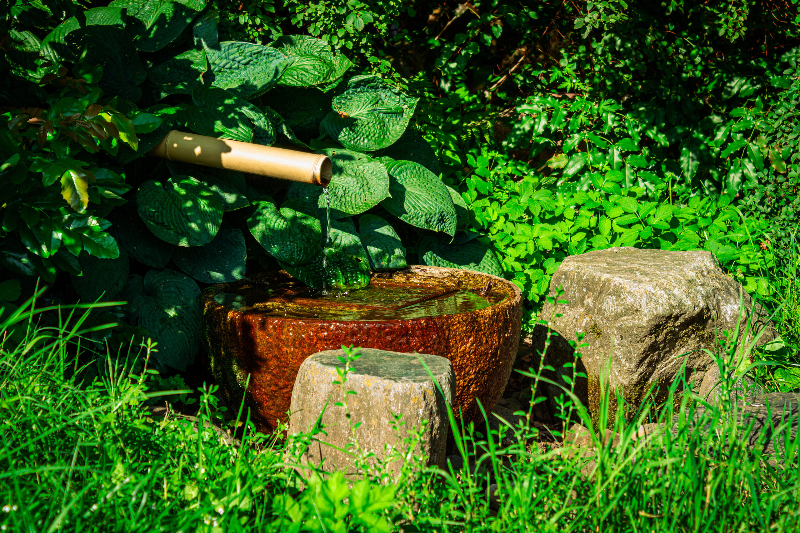 Москва. Фотограф в Новокузнецке