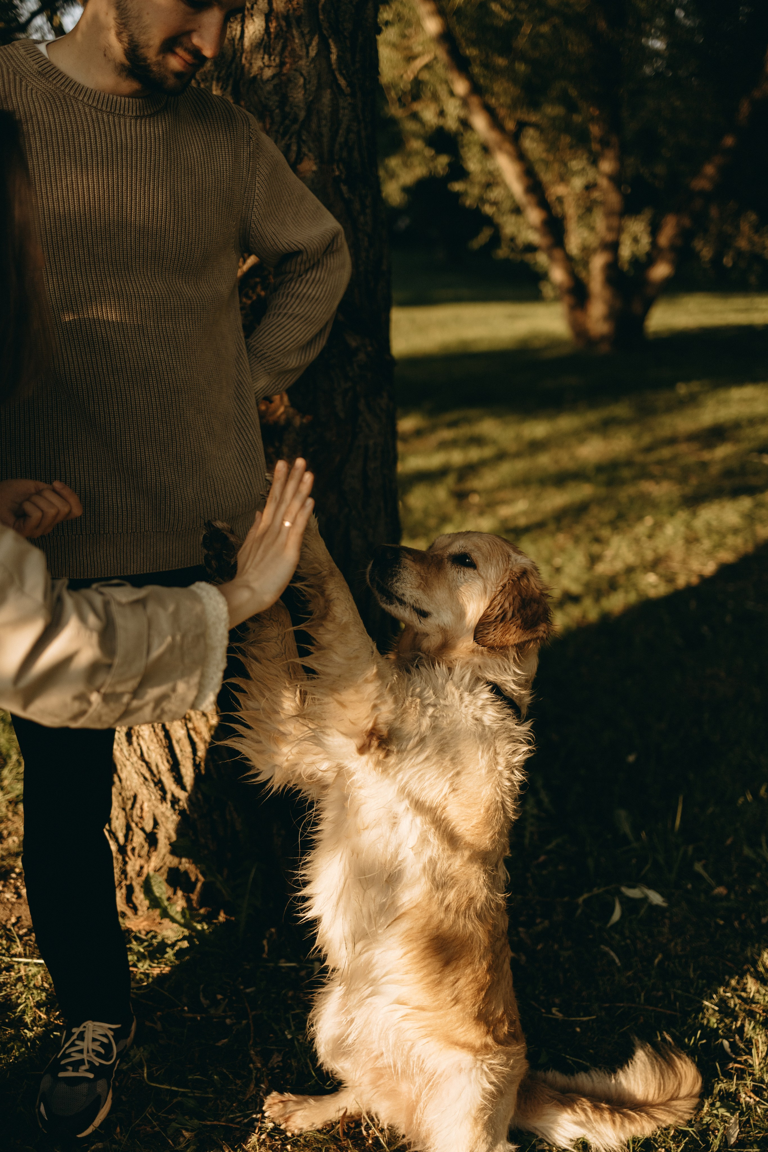 Пенни и ребята. Фотограф — Анималист | Санкт-Петербург