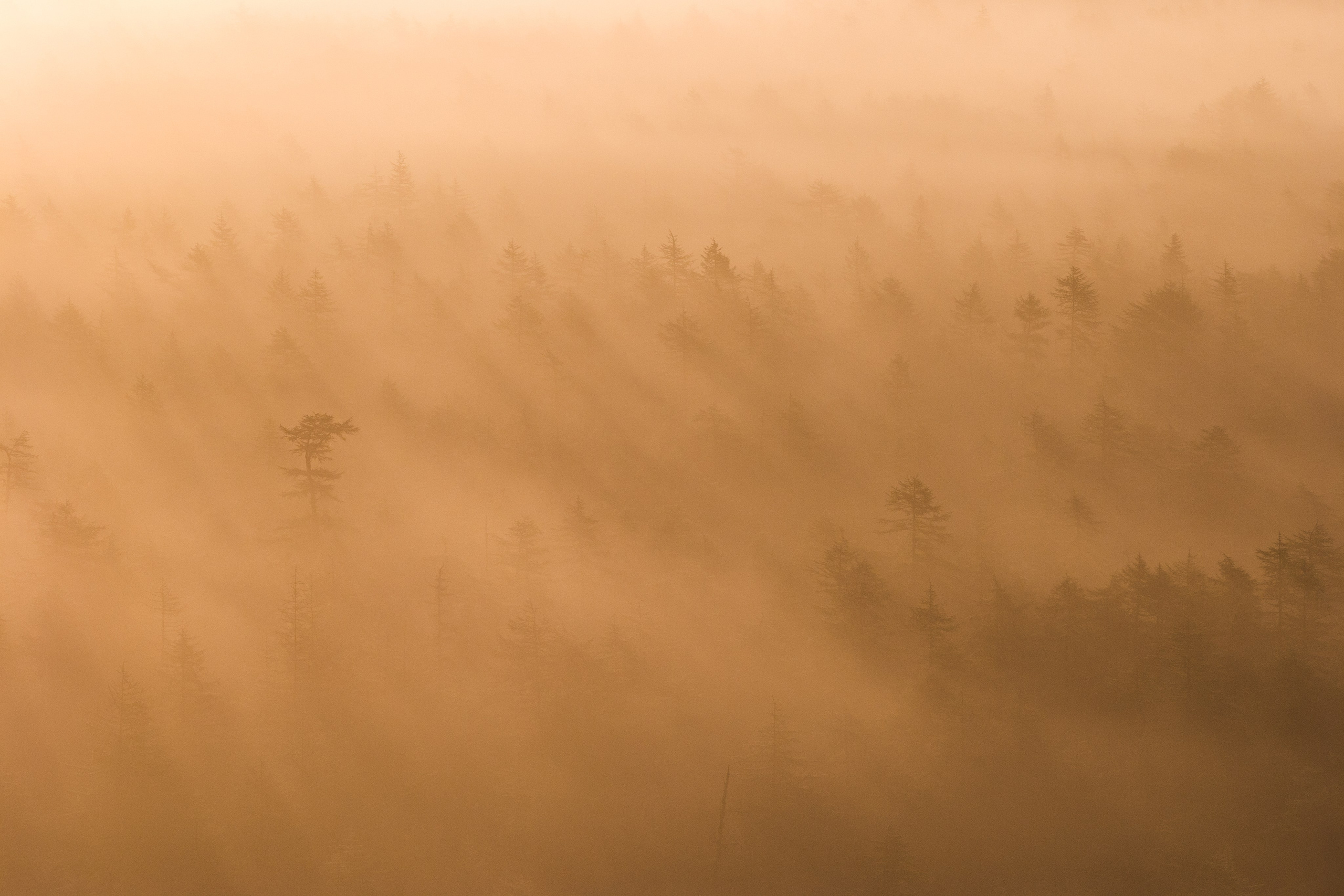 Экспедиция на Колыму