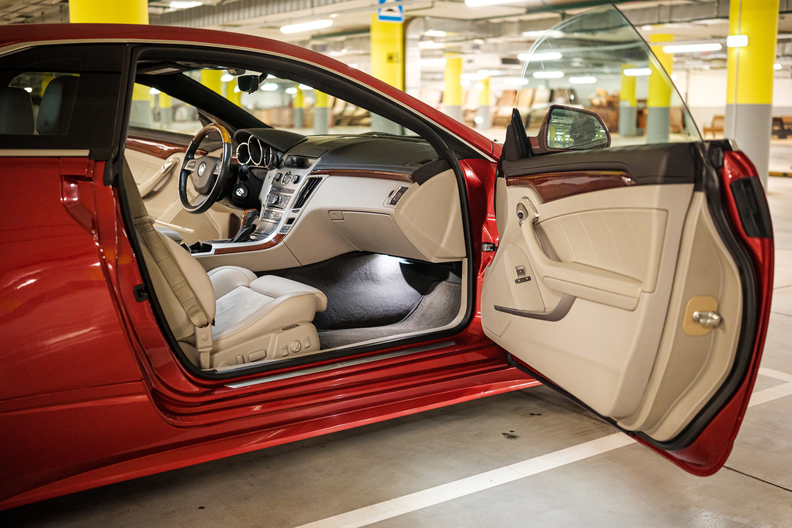 Кэдди. Алексей Никифоров фотограф Москва, Химки