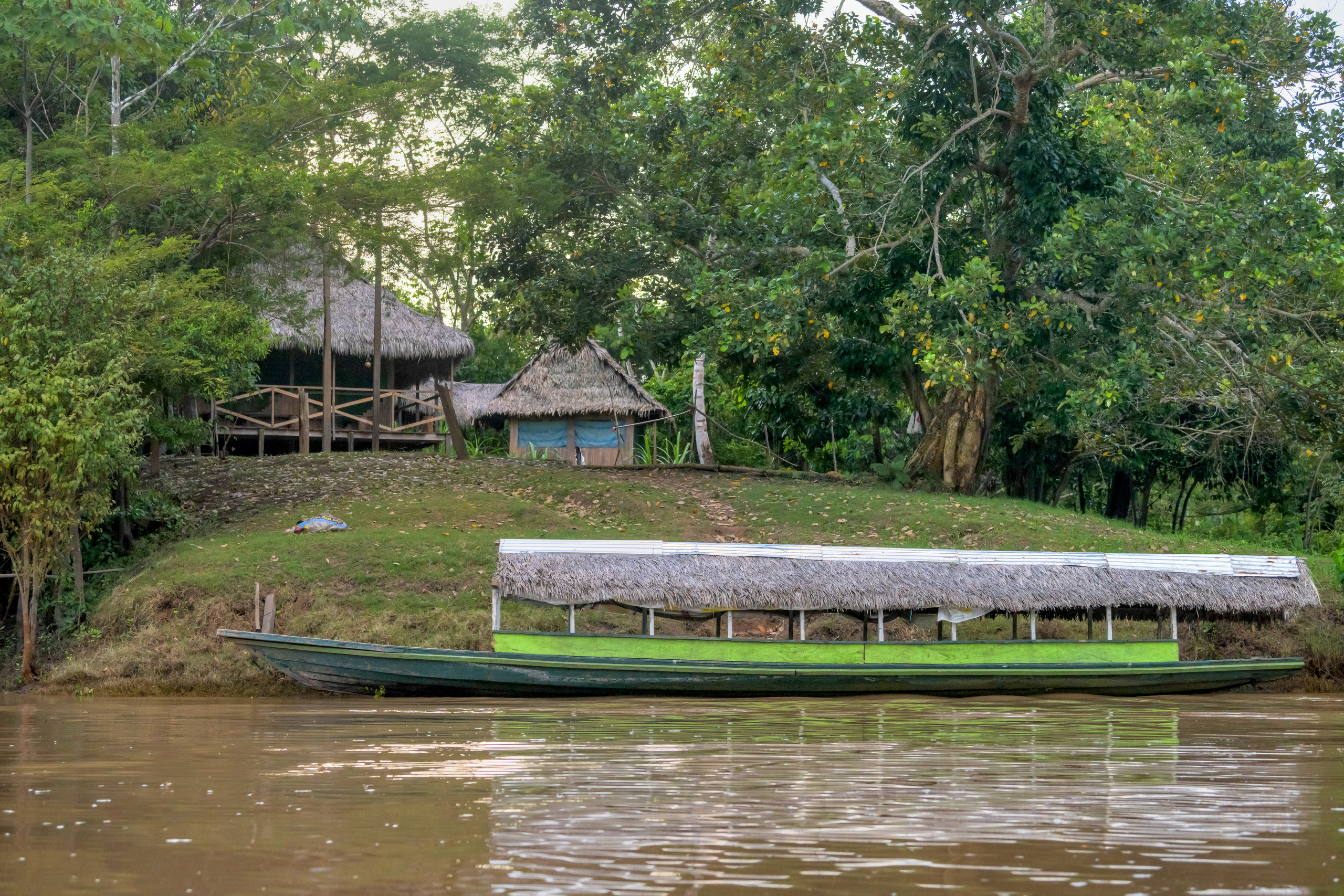 Амазония. Foto-Zuev фотография как искусство