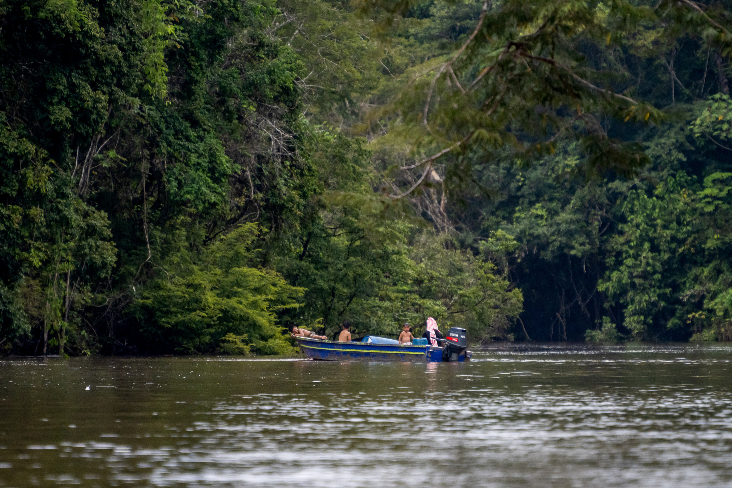 Амазонка. Foto-Zuev фотография как искусство