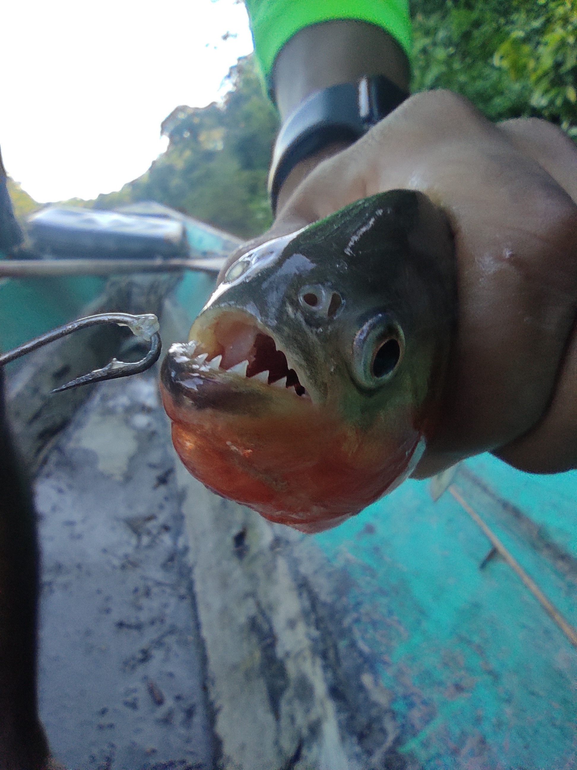 Амазонка. Foto-Zuev фотография как искусство