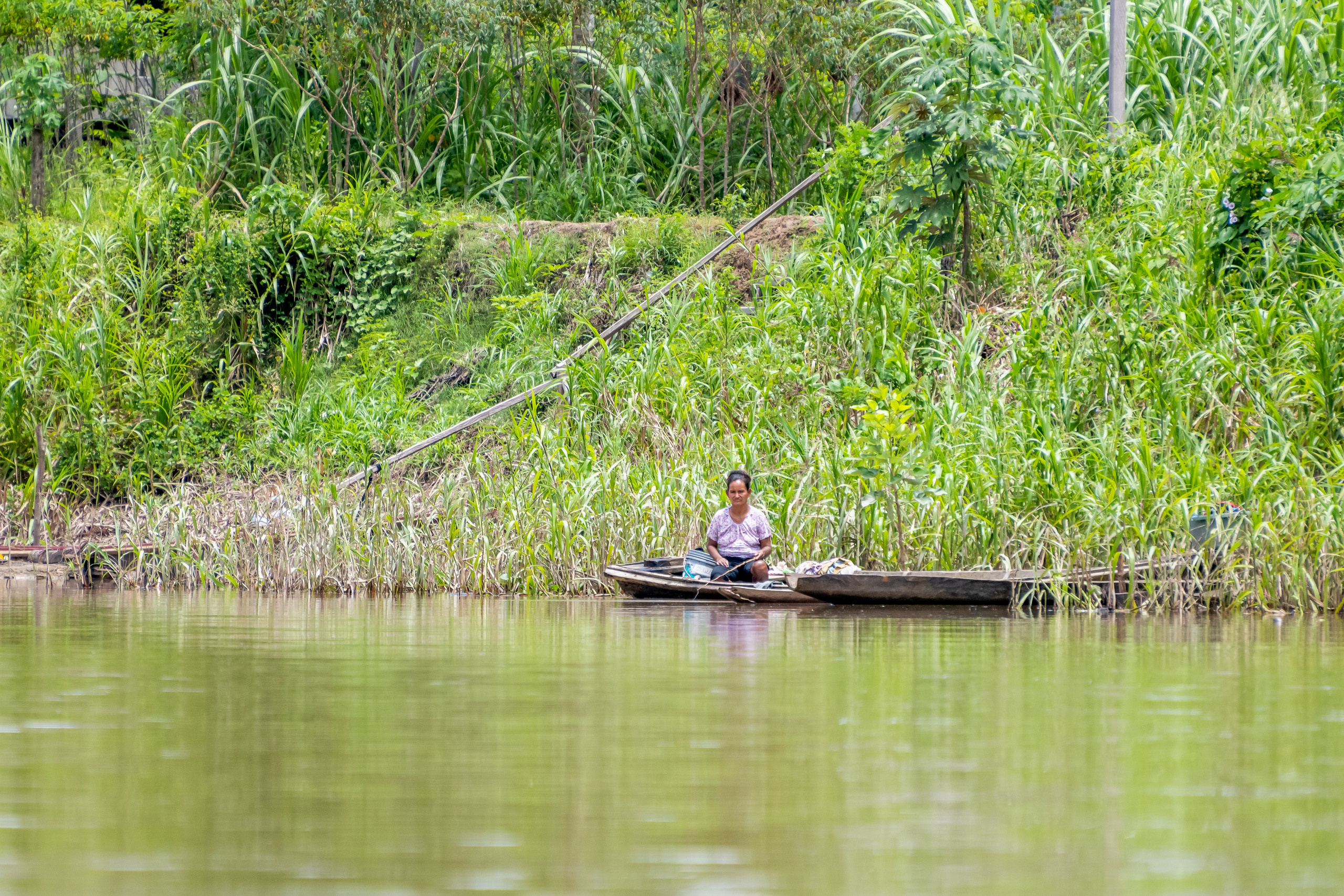 Амазония. Foto-Zuev фотография как искусство