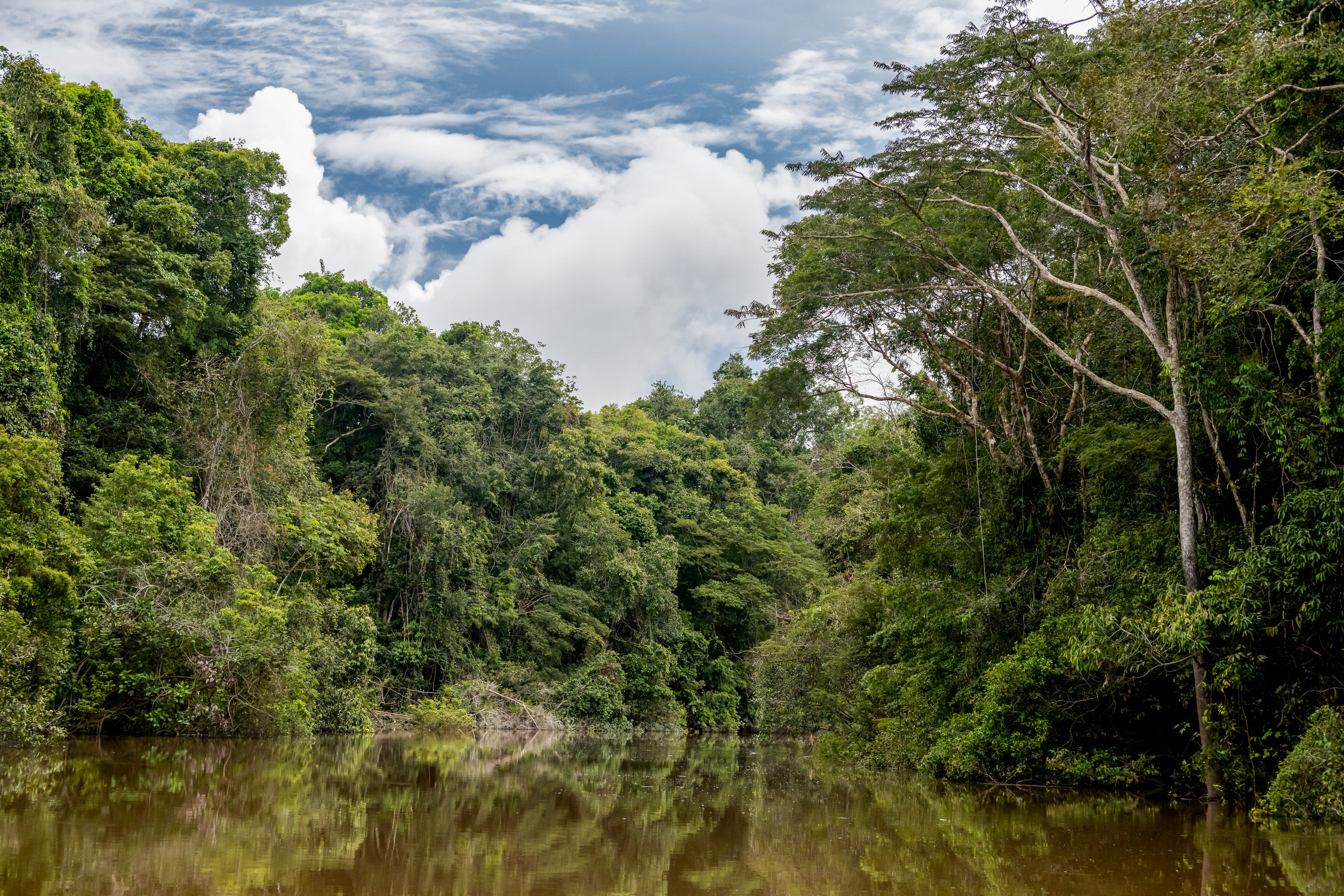 Амазония. Foto-Zuev фотография как искусство