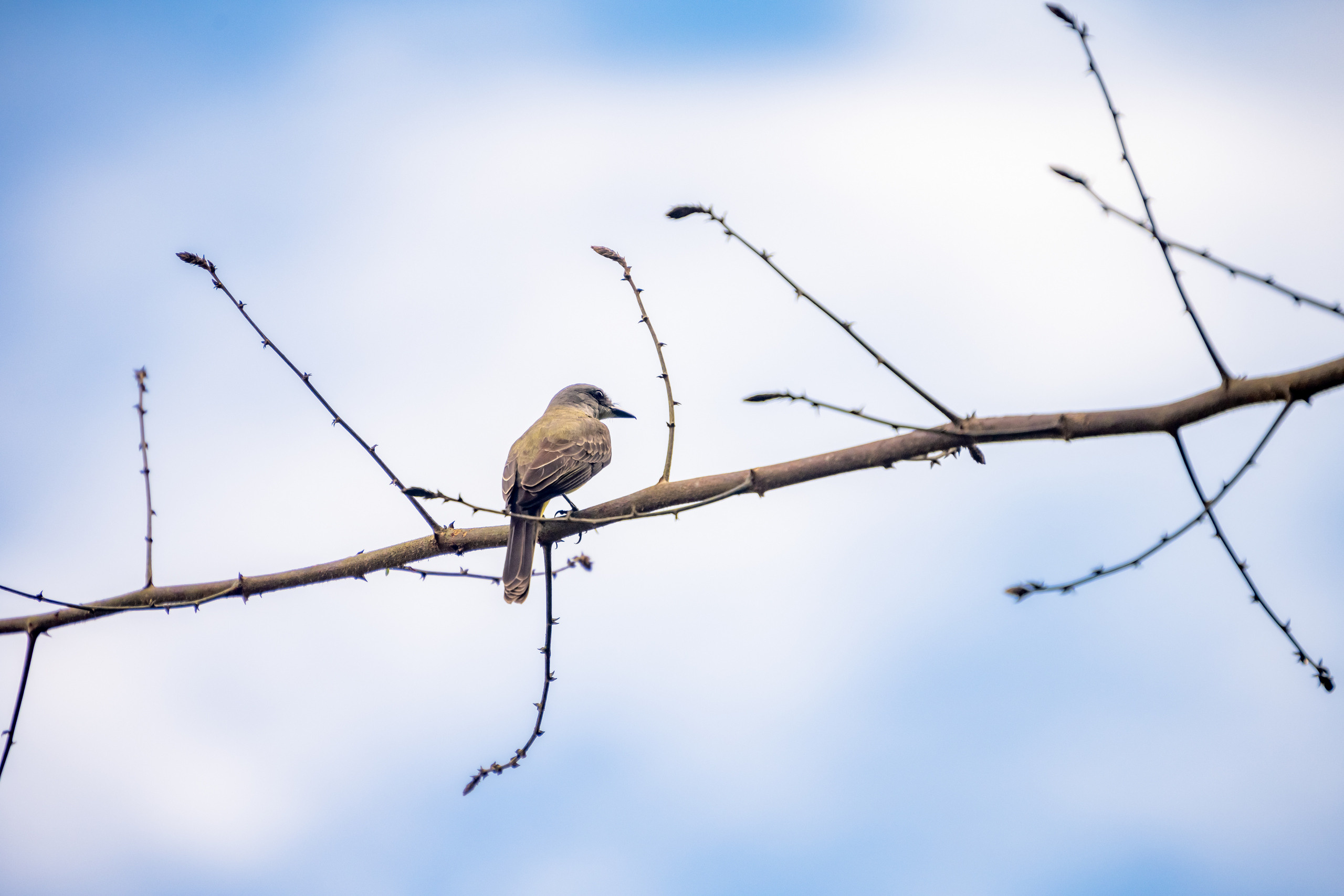 Амазония. Foto-Zuev фотография как искусство