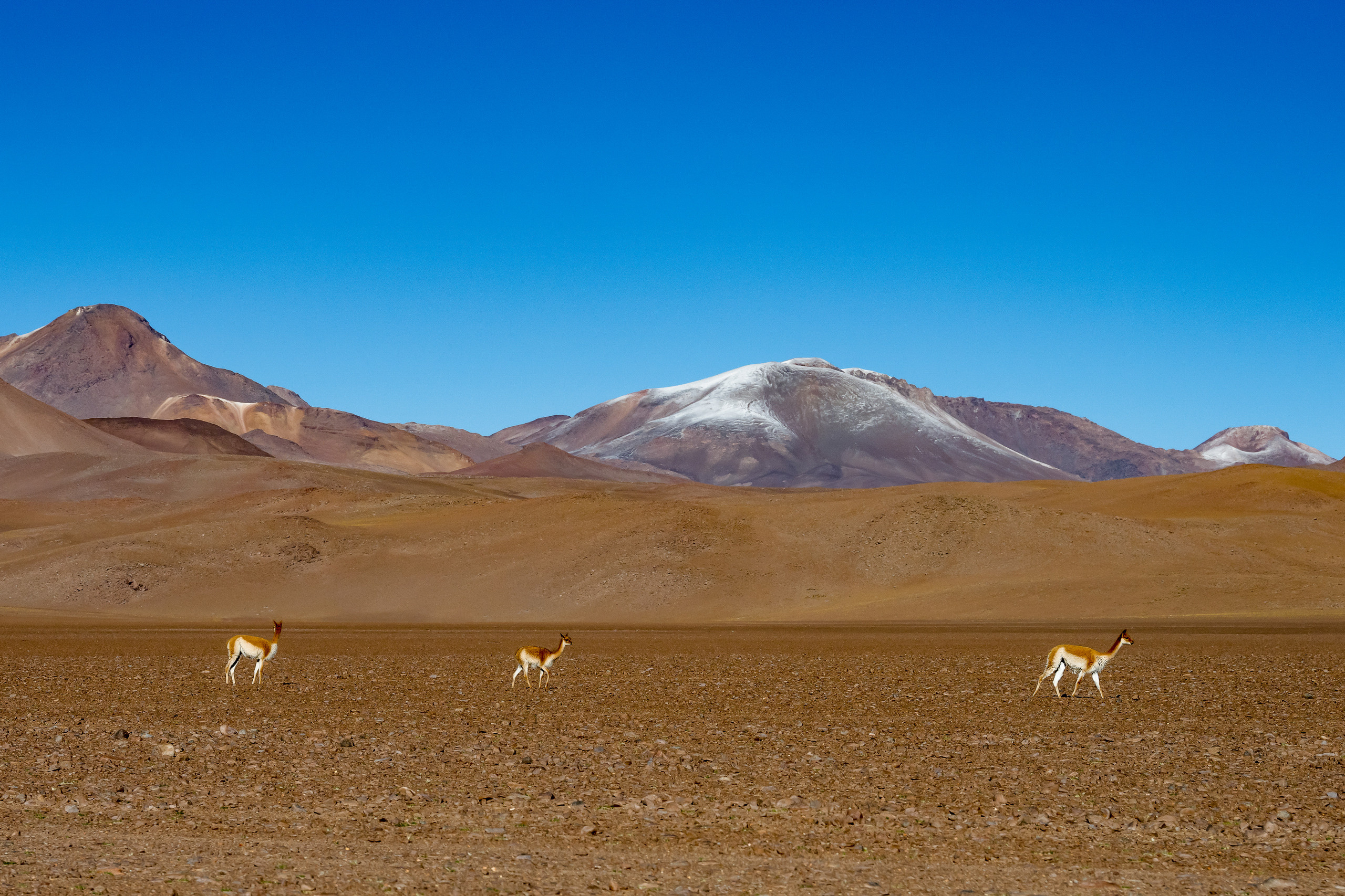 Пейзажный фотограф, Фотографии дикой природы. Foto-Zuev фотография как искусство
