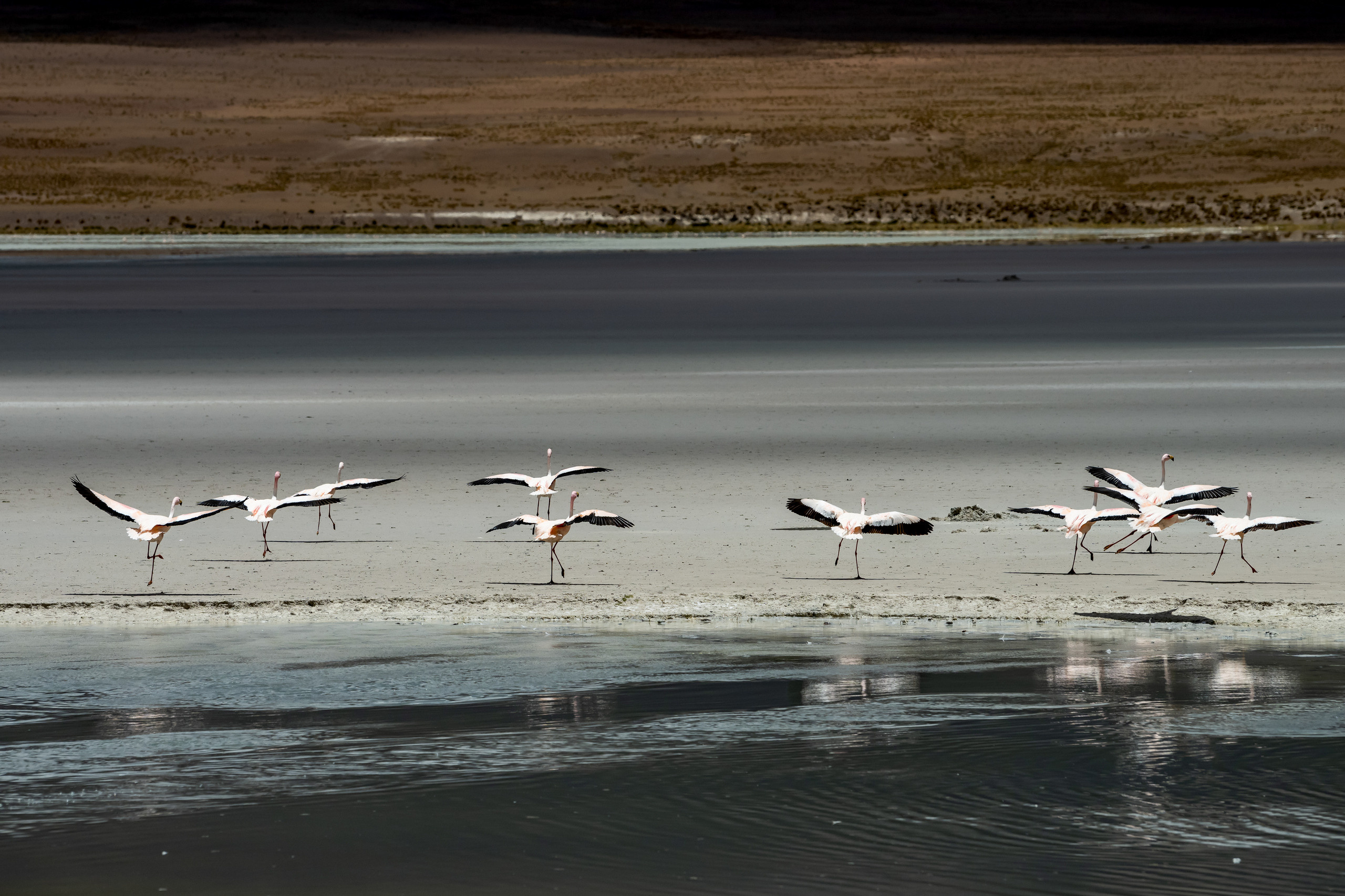 Пейзажный фотограф, Фотографии дикой природы. Foto-Zuev фотография как искусство
