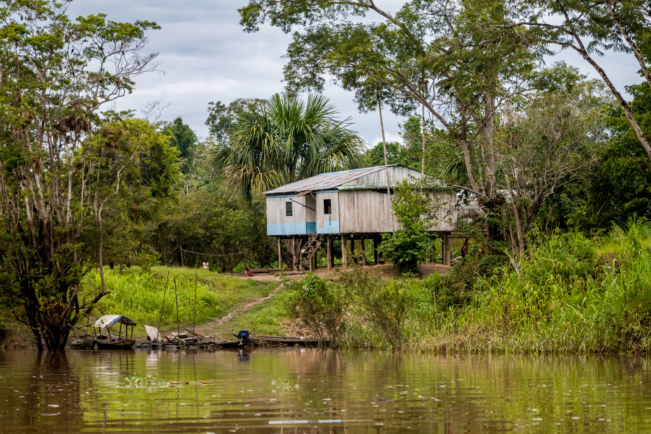Амазонка. Foto-Zuev фотография как искусство
