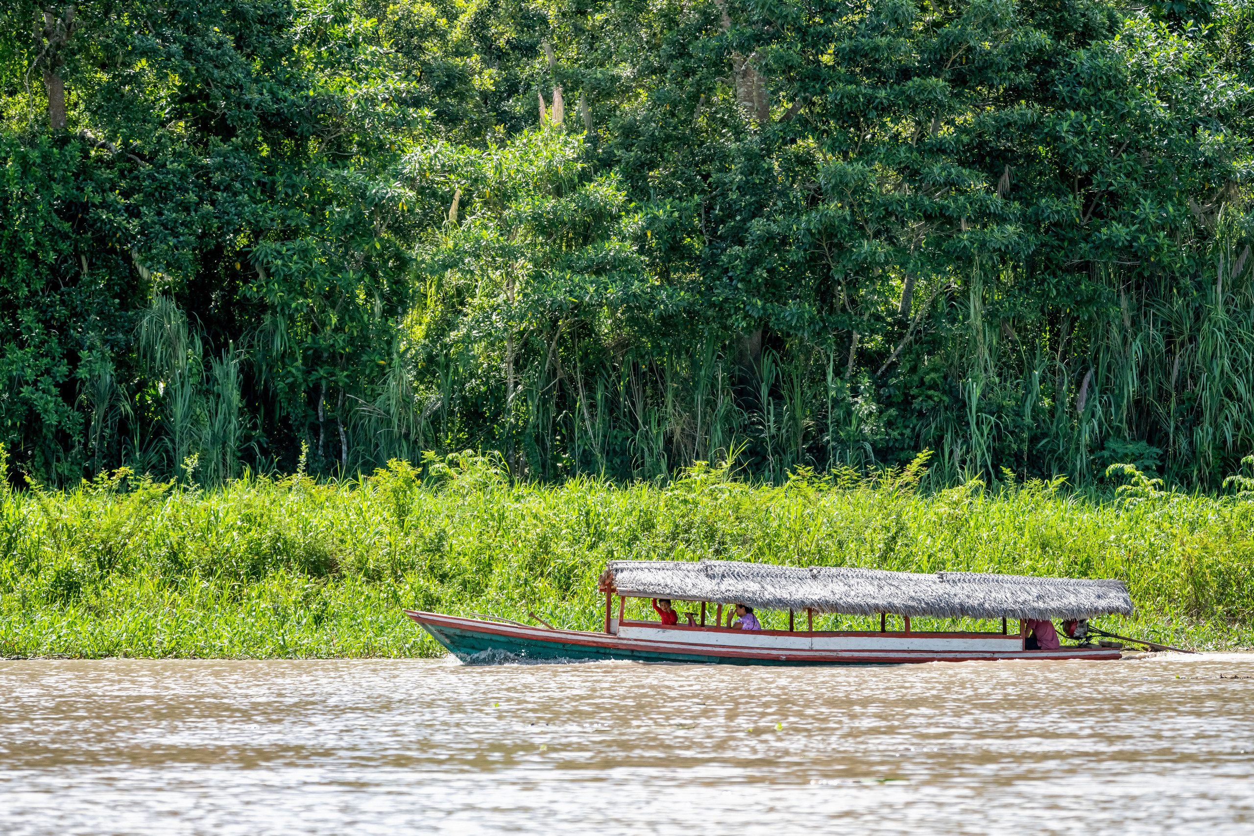 Амазонка. Foto-Zuev фотография как искусство